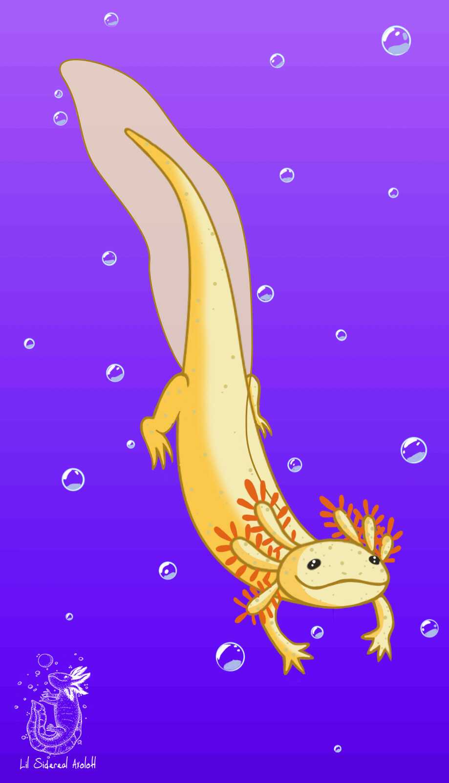 919x1600 4K Axolotl Wallpaper