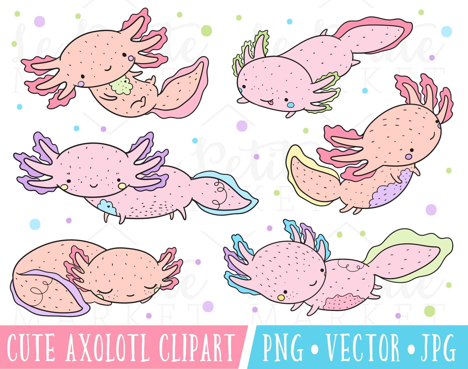 1901x1501 Cute Salamander Clipart Cute Axolotl Clipart Image Axolotl