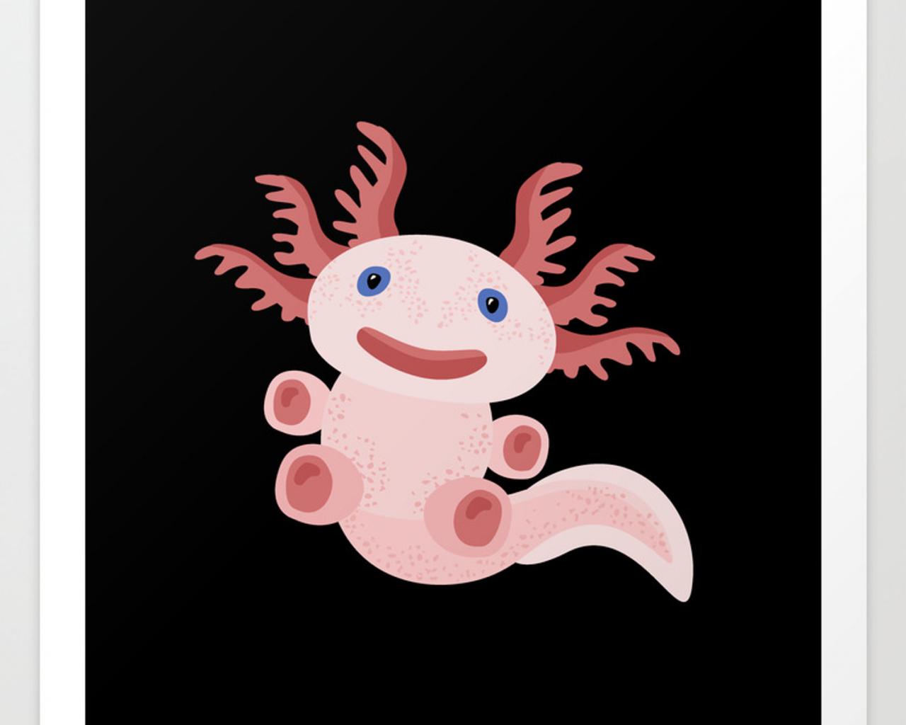 1280x1024 Free download Cute Axolotl on Black Background Art Print by XOOXOO Society6 [1500x1500] for your Desktop, Mobile & Tablet. Explore Black Axolotl Wallpaper. Black on Black Wallpaper, Black Background