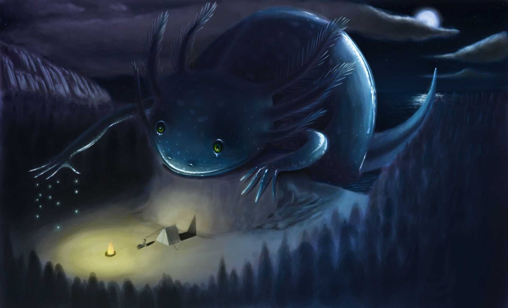 1920x1165 Axolotl Wallpaper