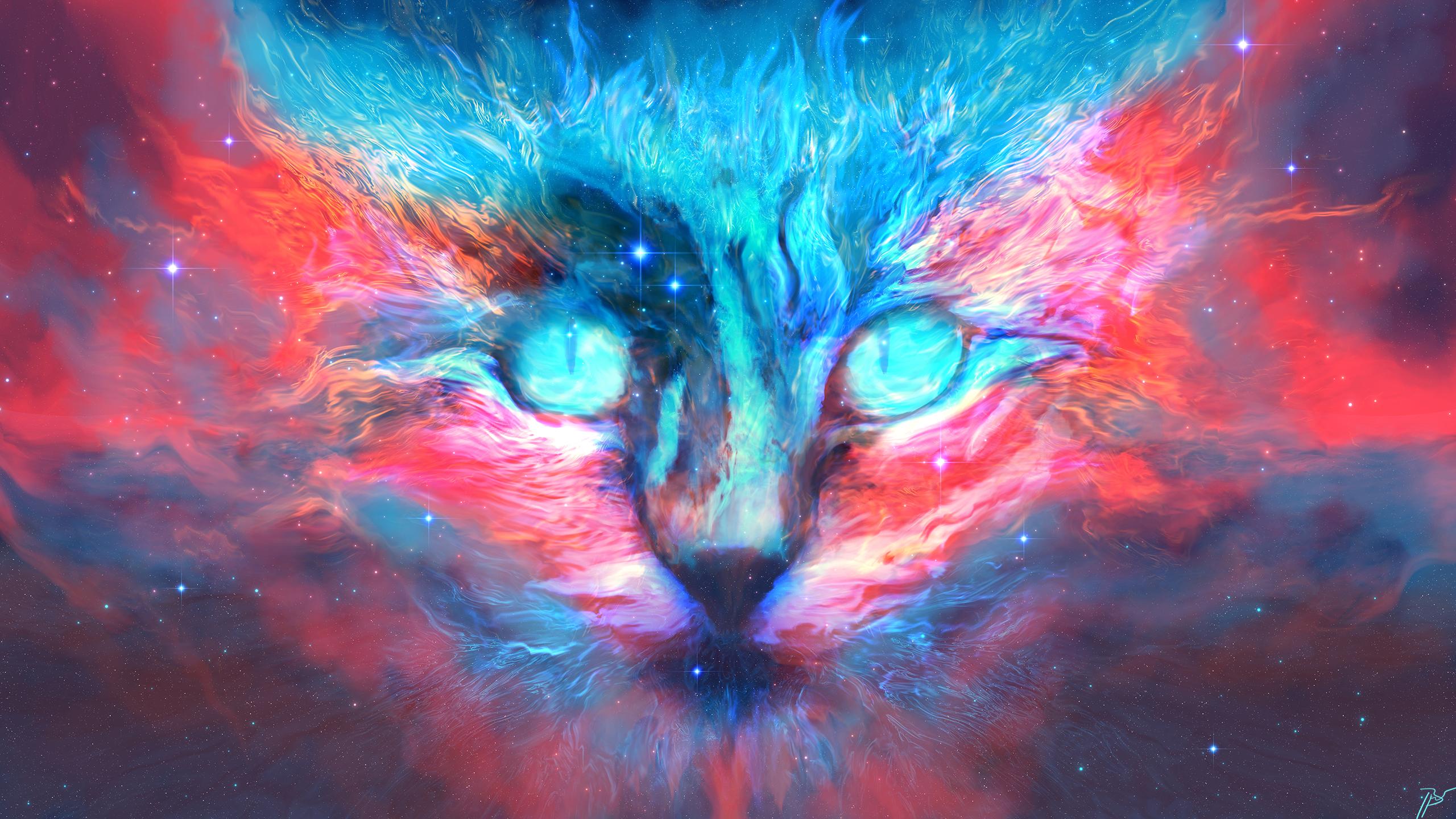 2560x1440 Into Dreams Cat Laptop Full HD 1080P HD 4k Wallpaper, Image, Background, Photo and Picture