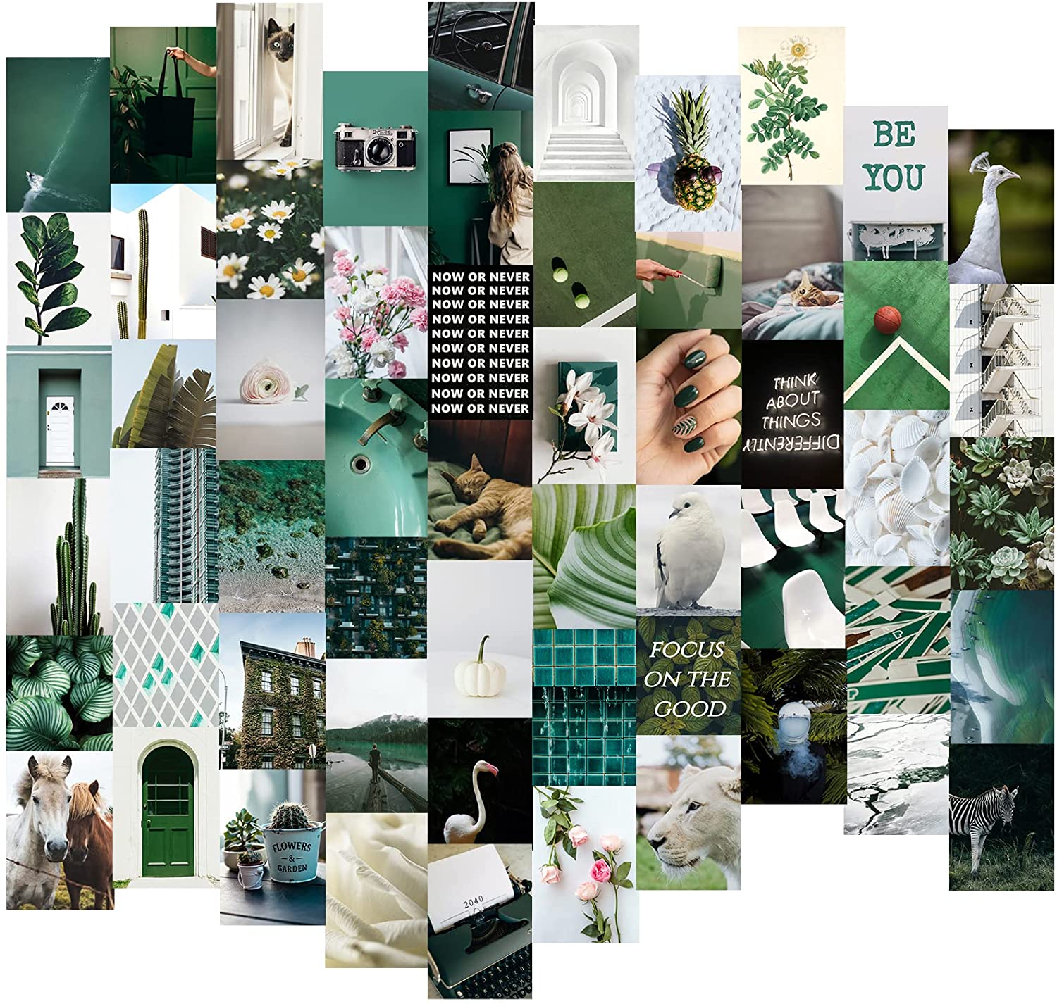 60 DIGITAL Sage Green Aesthetic Collage Sage Green Photo Wallpaper  Collagesage Green Collage Kit 