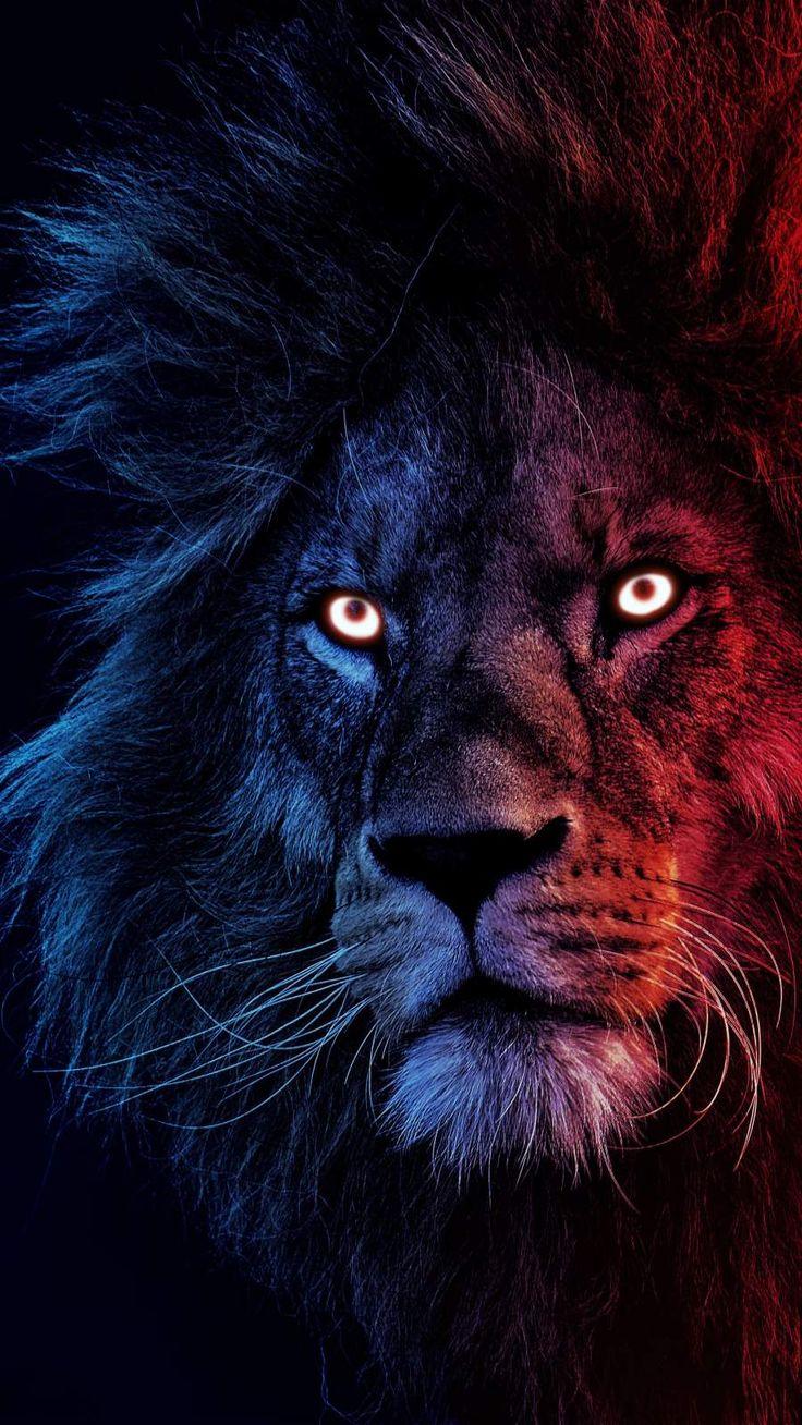 736x1308 iPhone Wallpaper for iPhone iPhone 11 and iPhone X : iPhone Wallpaper. Lion wallpaper iphone, Lion HD wallpaper, Lion wallpaper
