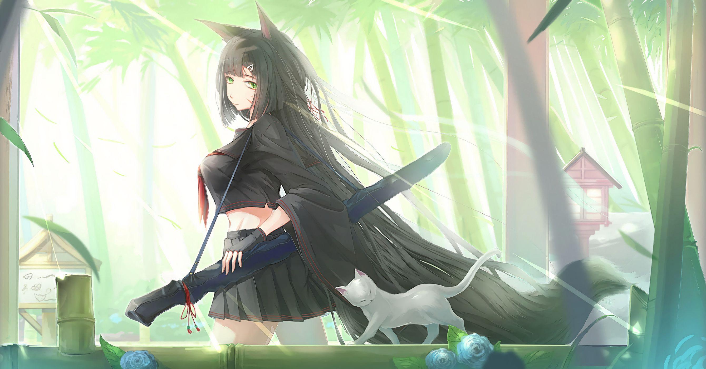 2680x1401 Anime Cat Girl Wallpaper