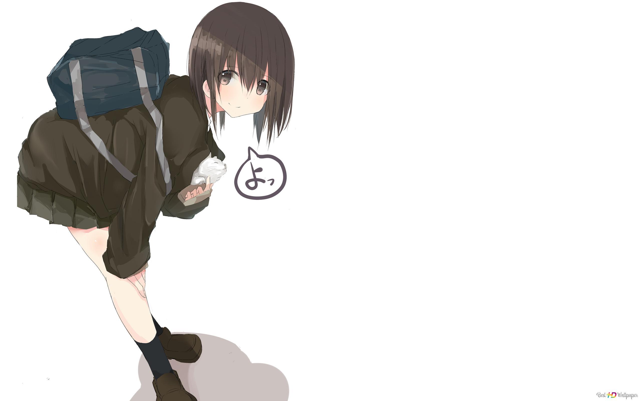 2560x1600 Anime girl with cat HD wallpaper download