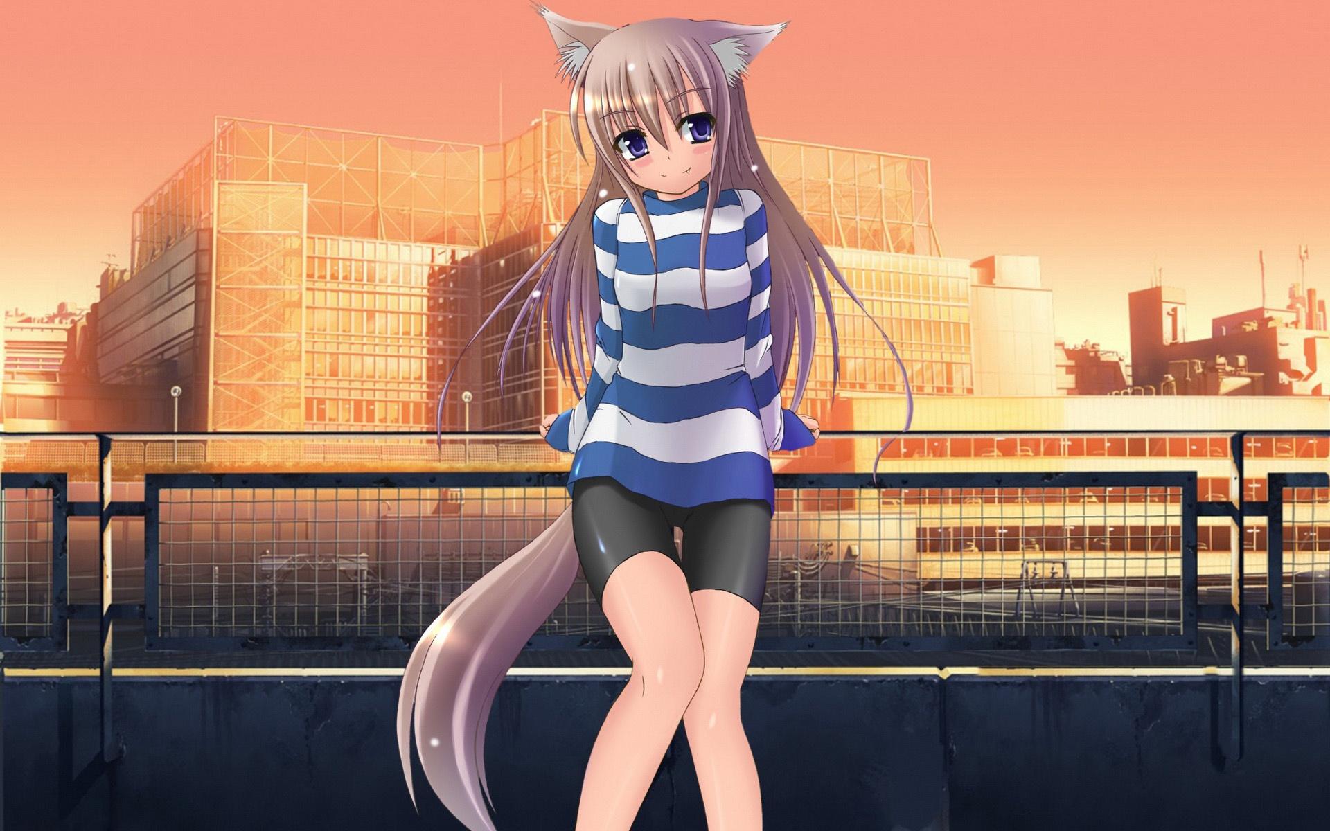1920x1200 Anime Girl Cat HD wallpaper