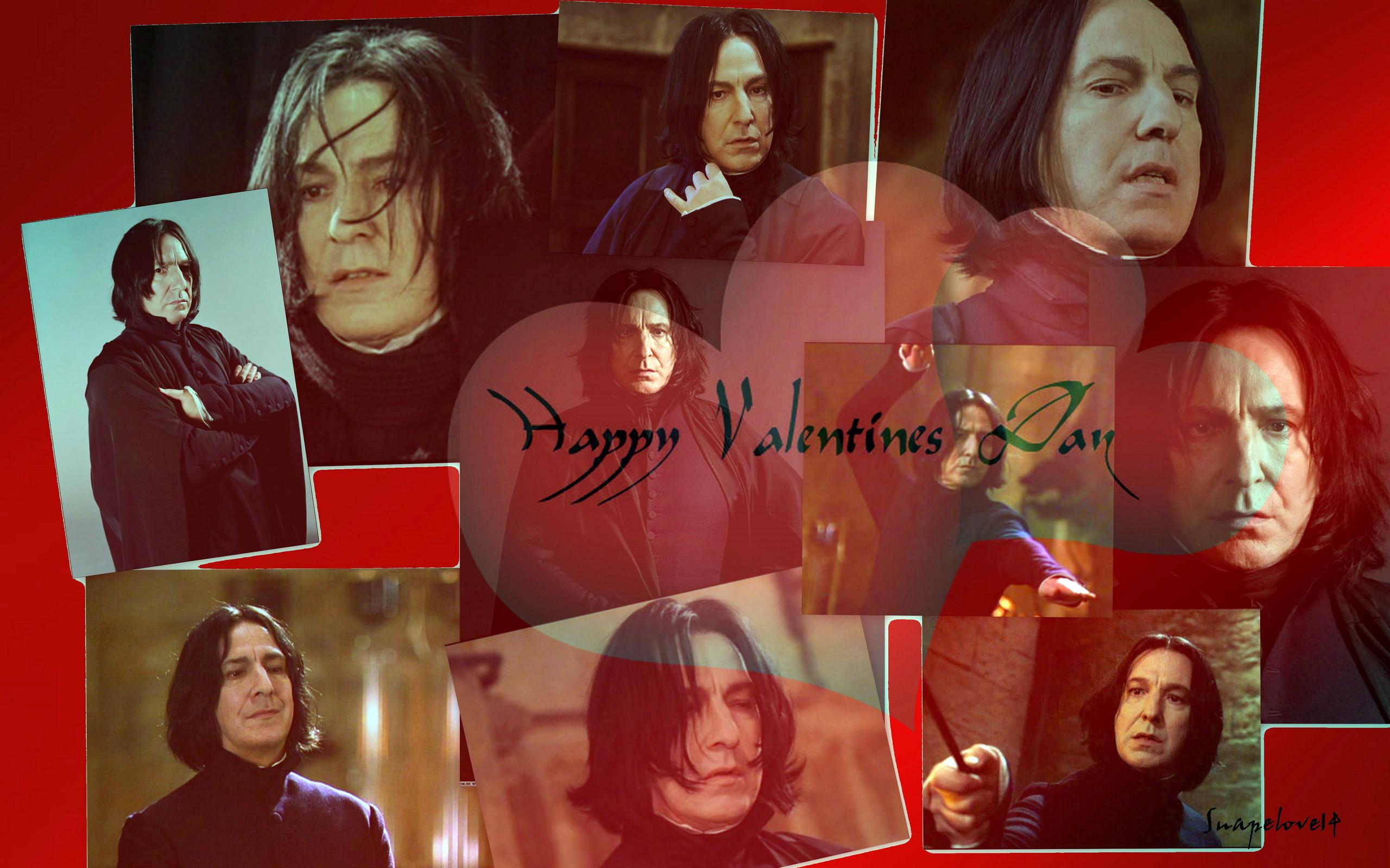 2560x1600 Happy Valentine's Day Snape Wallpaper