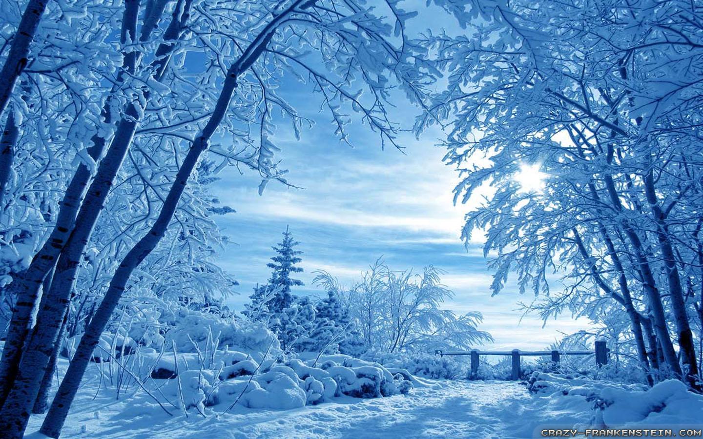 1440x900 Free download View Winter Nature Wallpaper 1440x900 pixel Nature HD Wallpaper [1440x900] for your Desktop, Mobile & Tablet. Explore Winter Screen Background. Free Winter Wallpaper, Free Winter Snow Scenes