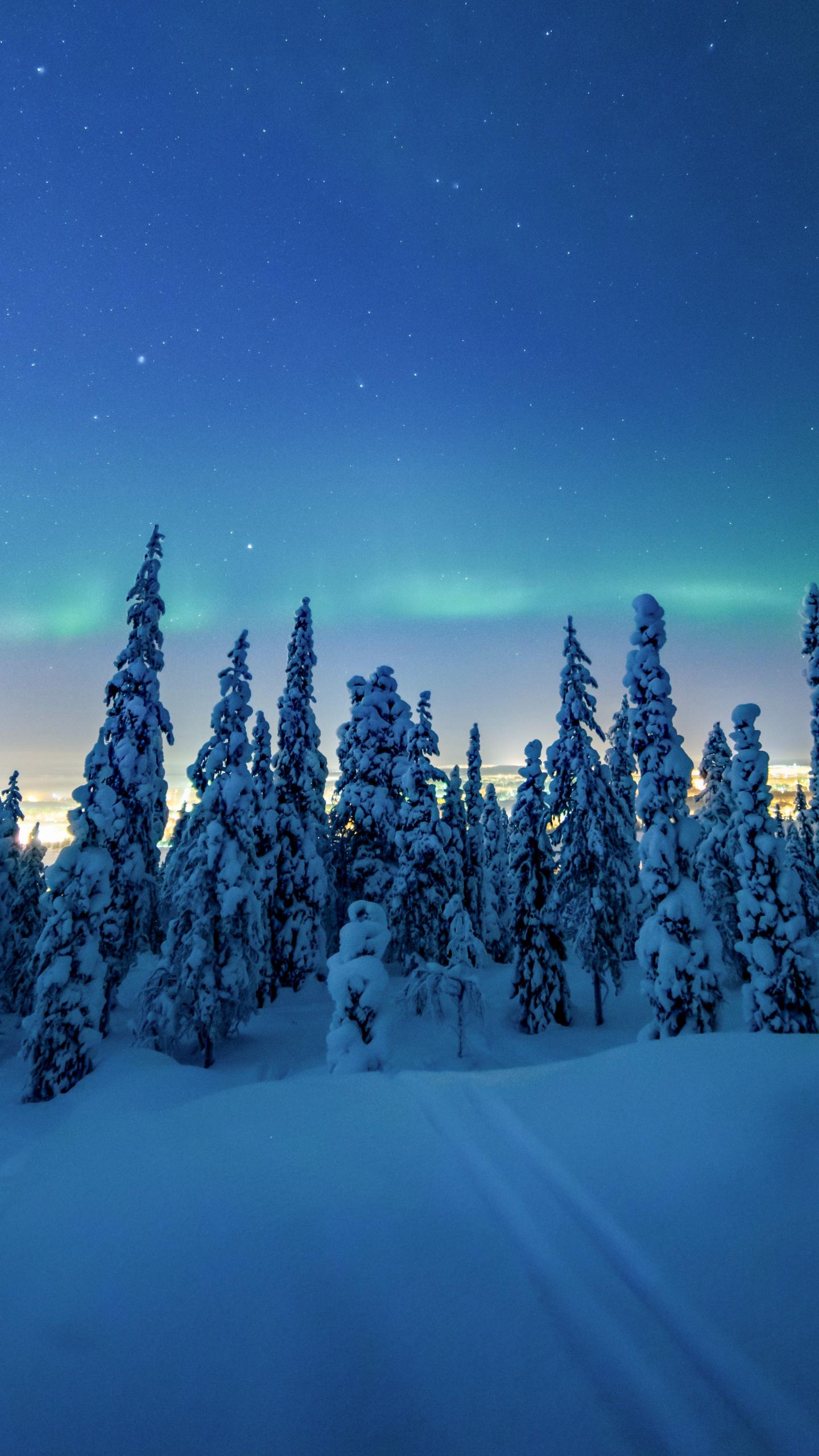 1440x2560 Download Winter, snow layer, dawn, trees wallpaper, 1440x QHD Samsung Galaxy S S Edge, Note, LG G4