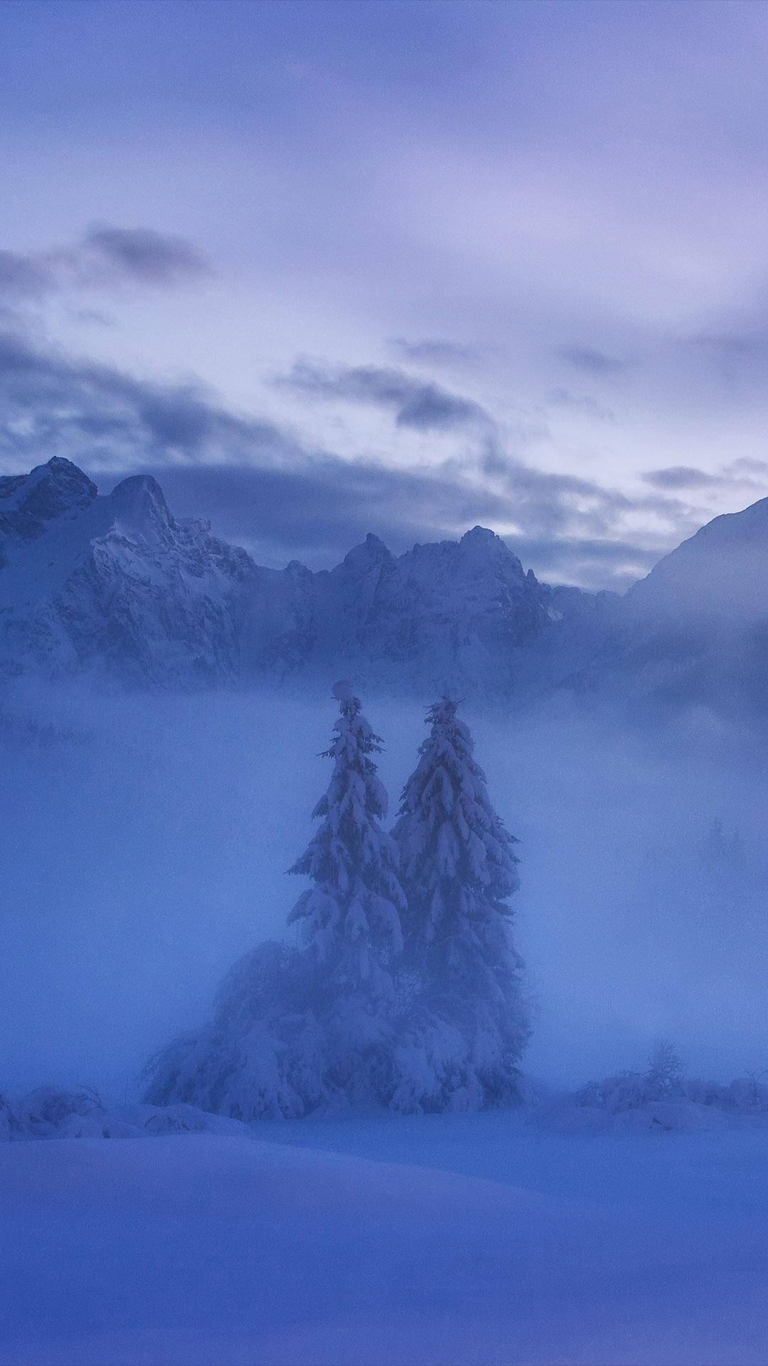 1080x1920 Dreamy Pixel. Free iPhone Wallpaper: Winter trees