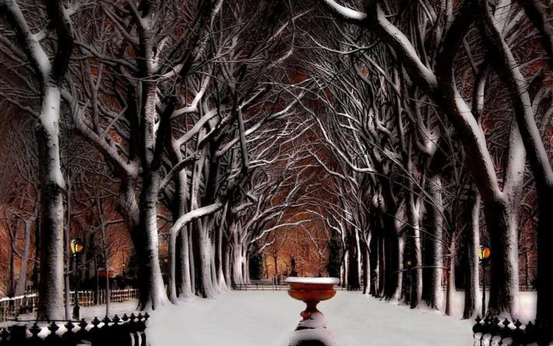1920x1200 Pixel Resolution Winter Desktop Background