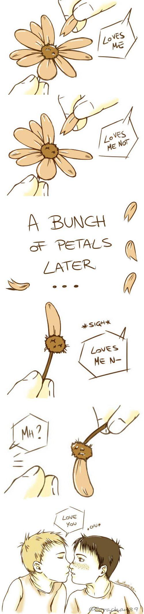 500x2126 Loves me, Loves me not by Hanatsuki89. Jeanmarco, Love, Hair accessories