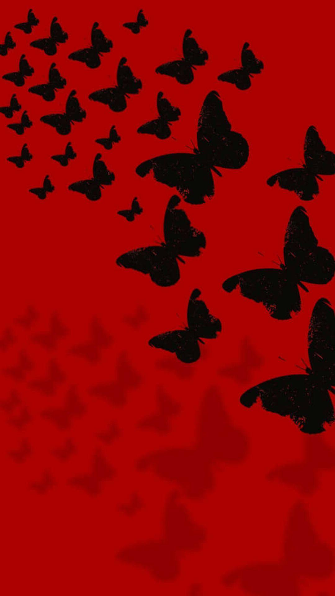 1080x1920 Scarlet Butterfly Wallpaper, HD Scarlet Butterfly Background on WallpaperBat