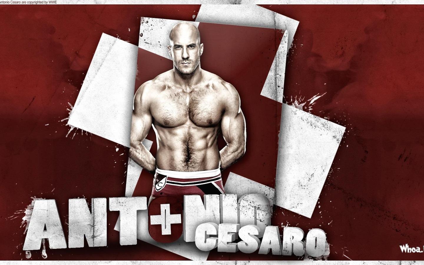 1440x900 Free download Antonio Cesaro Shirtless With Red Background HD WWE Wallpaper [1920x1080] for your Desktop, Mobile & Tablet. Explore Cesaro Wallpaper. Cesaro Wallpaper
