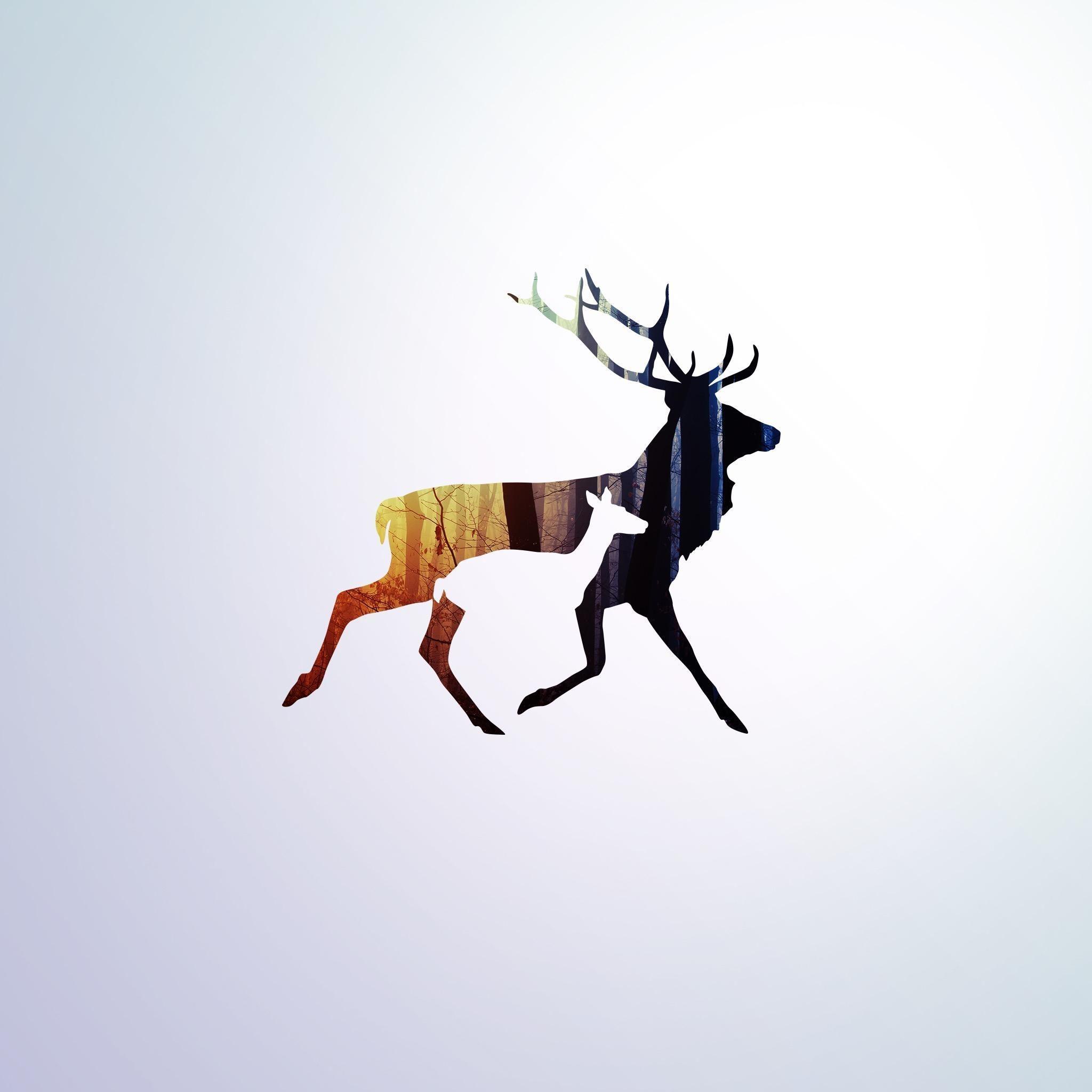 2048x2048 Saw the ”Minimal Deer” wallpaper and I raise you this. 2048×2048