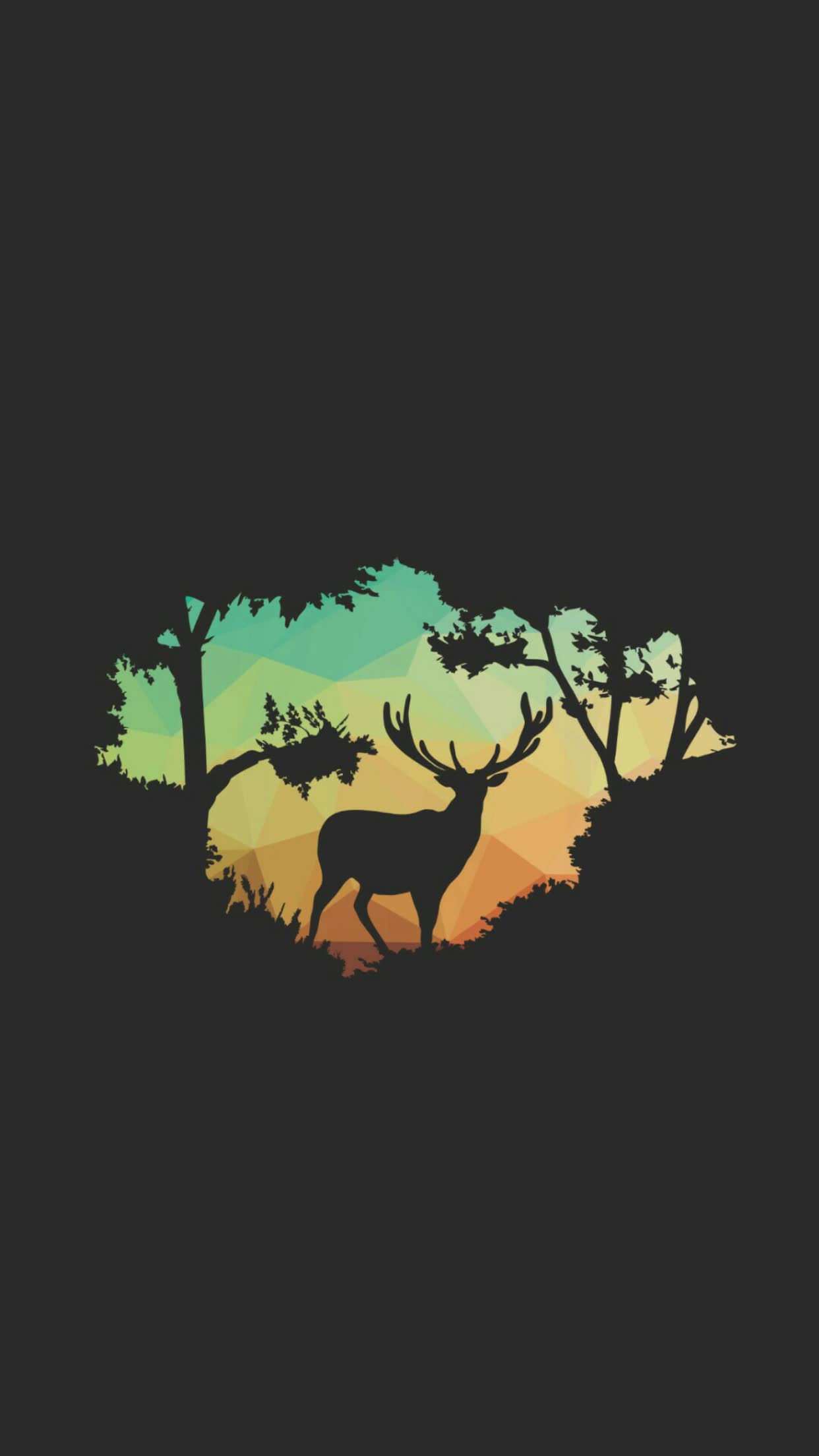 1242x2208 Mobile Wallpaper