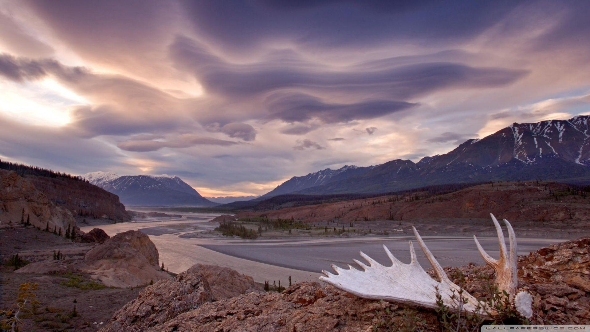 1920x1080 Moose Antler Alsek River Yukon Canada ❤ 4K HD Desktop Wallpaper