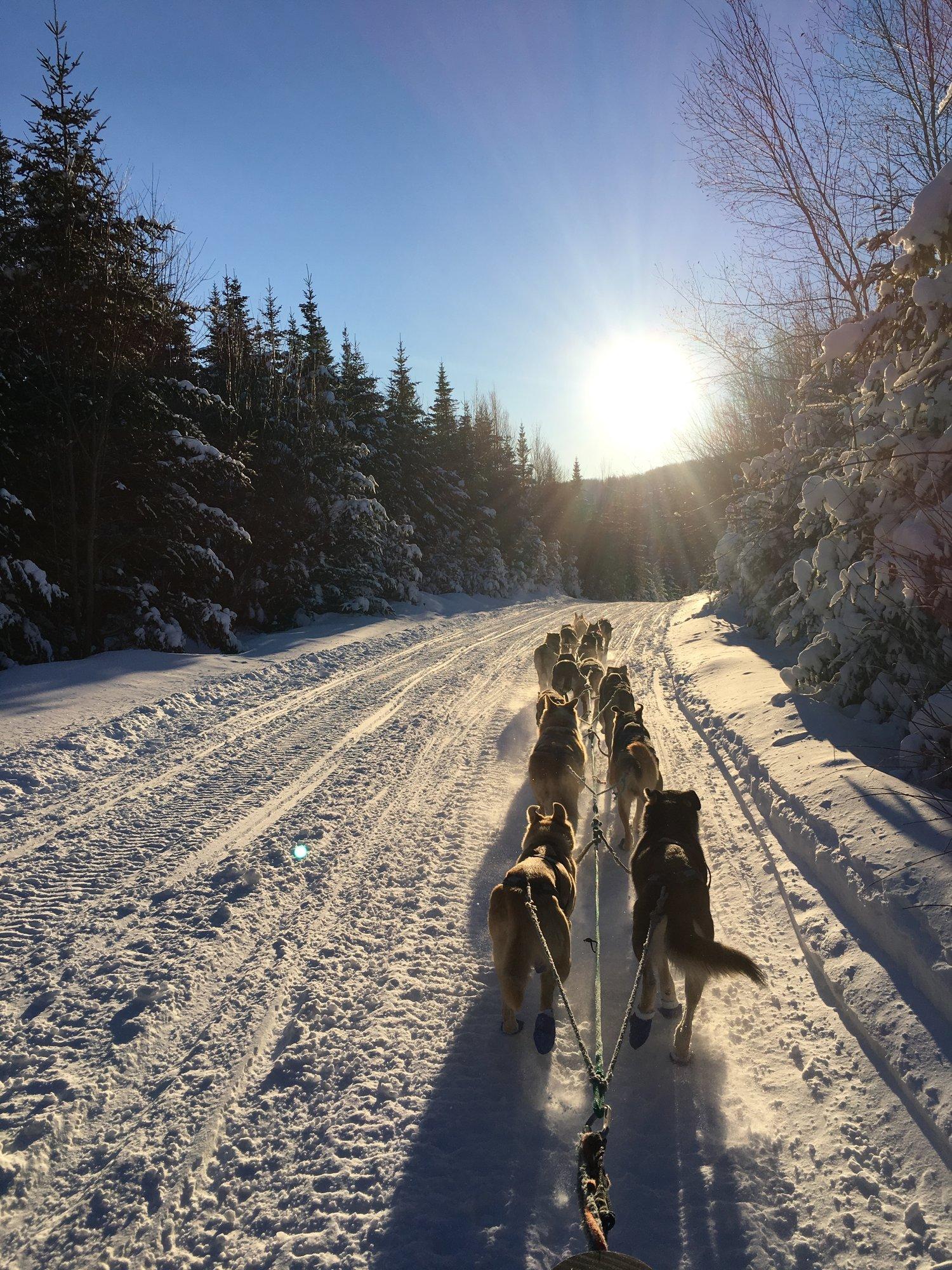 1500x2000 On the Balance of Confidence: What hope looks like in January