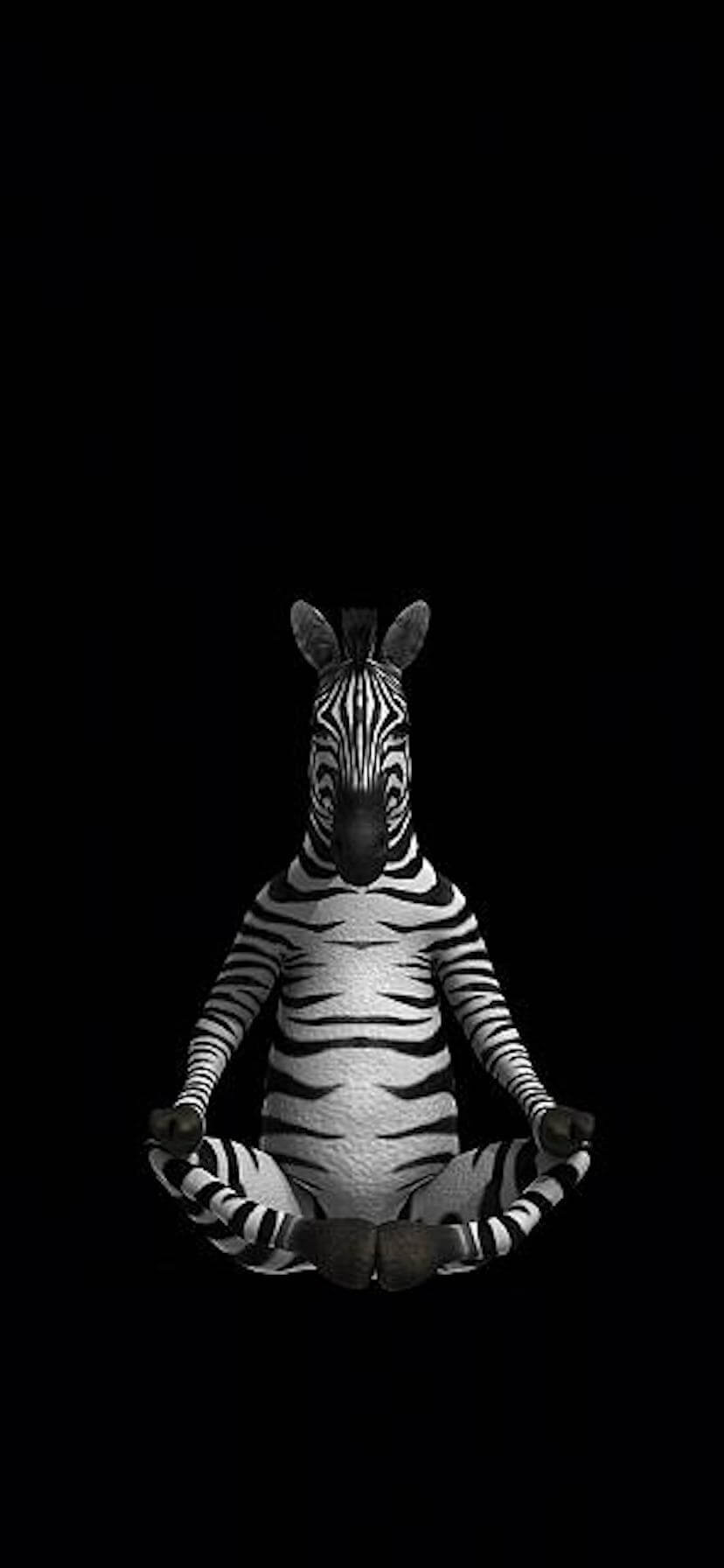828x1792 Black or Dark Wallpaper HD for iPhone 13 Pro, 13 Pro Max in 2022