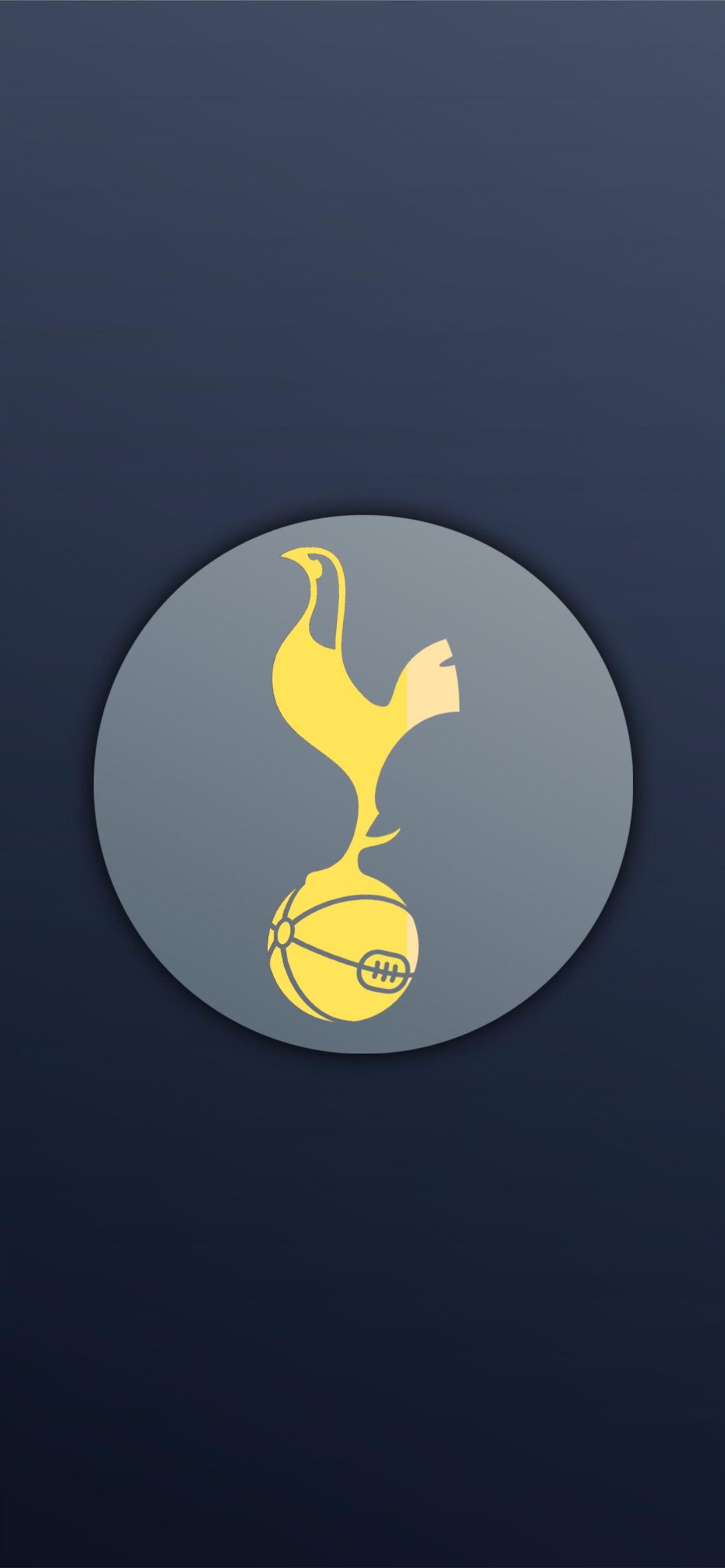 1242x2688 hugo lloris iPhone Wallpaper Free Download