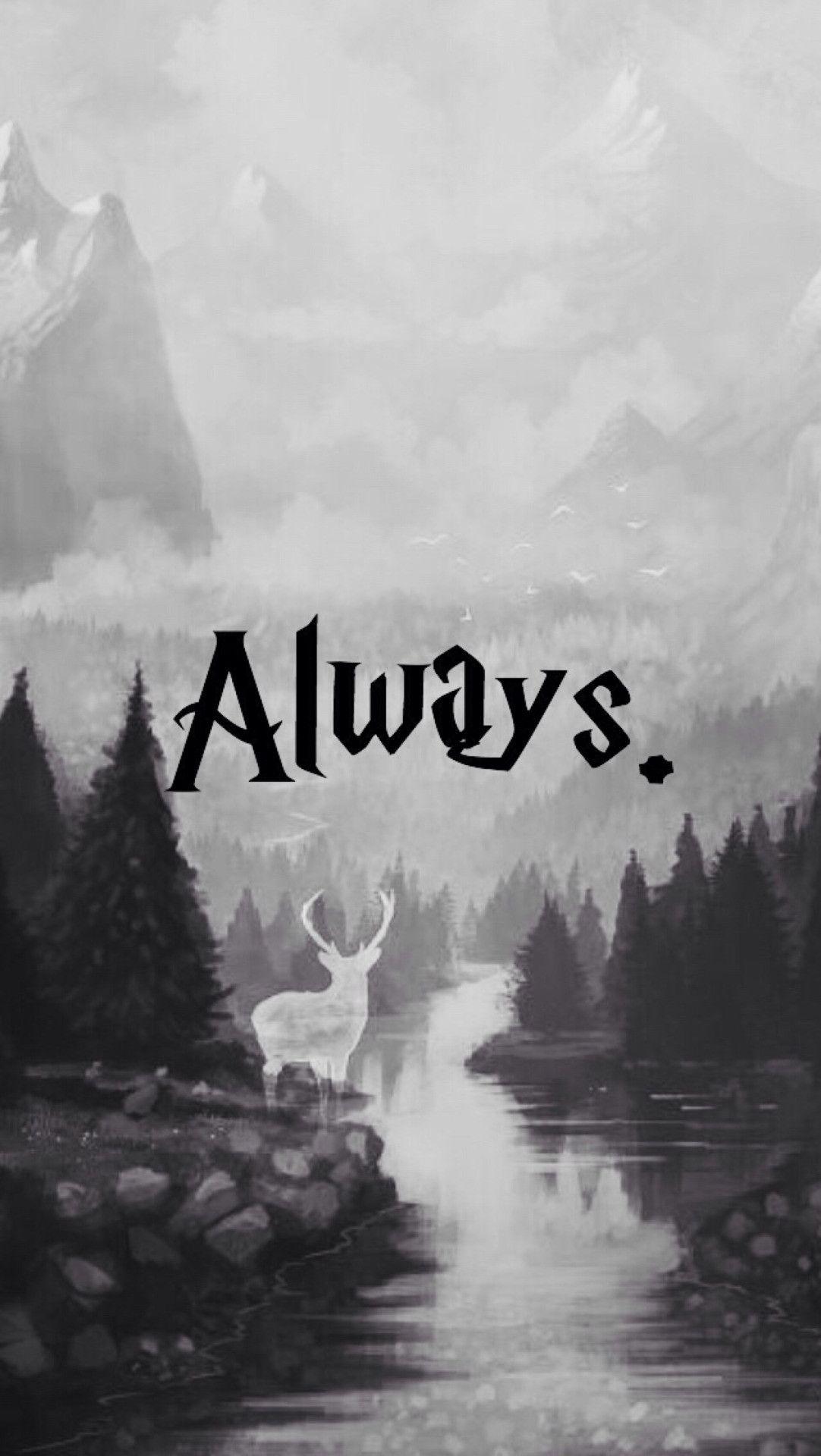 1082x1920 Hogwarts iPhone Wallpaper , Find HD Wallpaper For Free