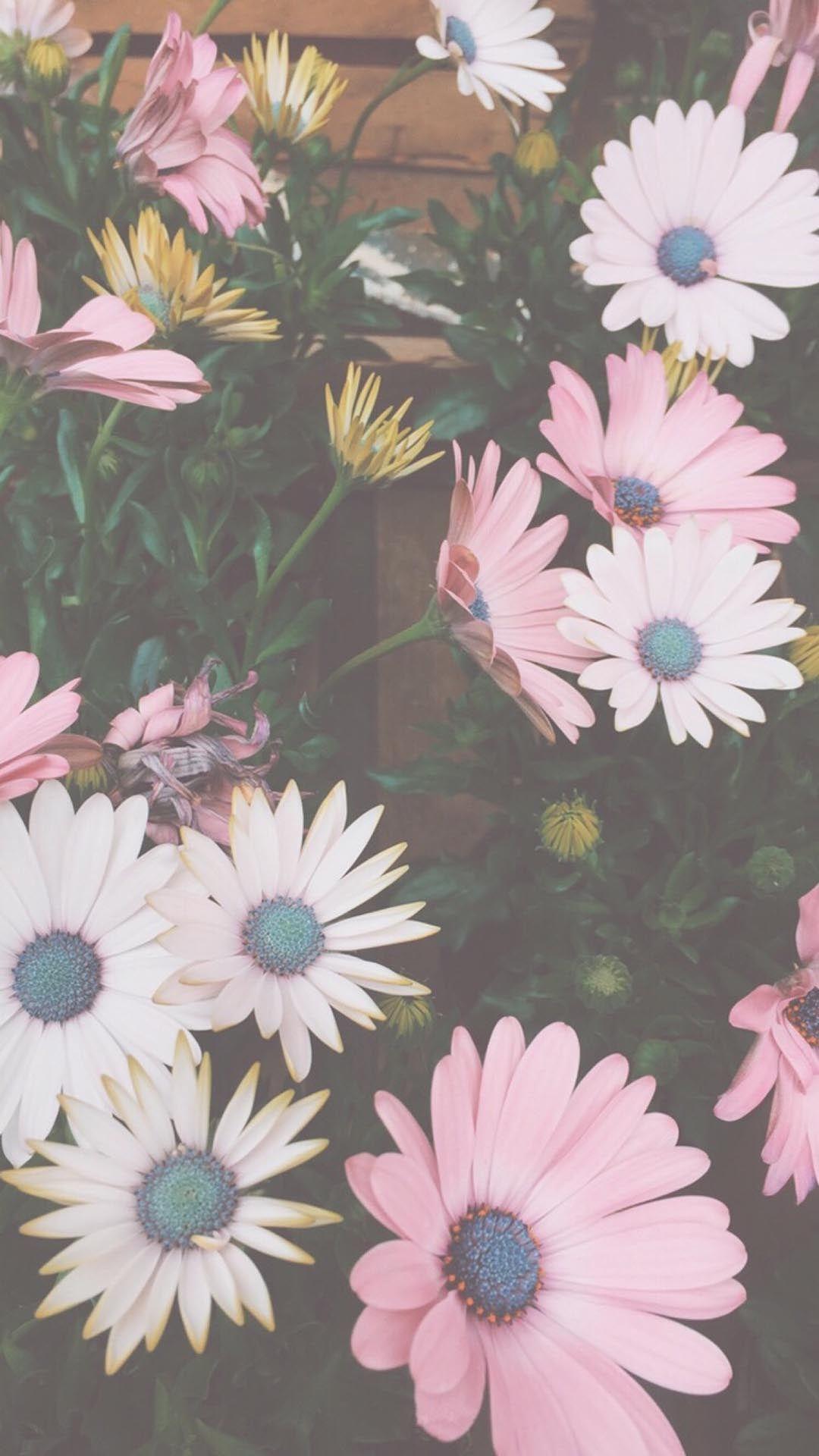 1080x1920 flowers wallpaper. lovely wallpaper. God, iPhone