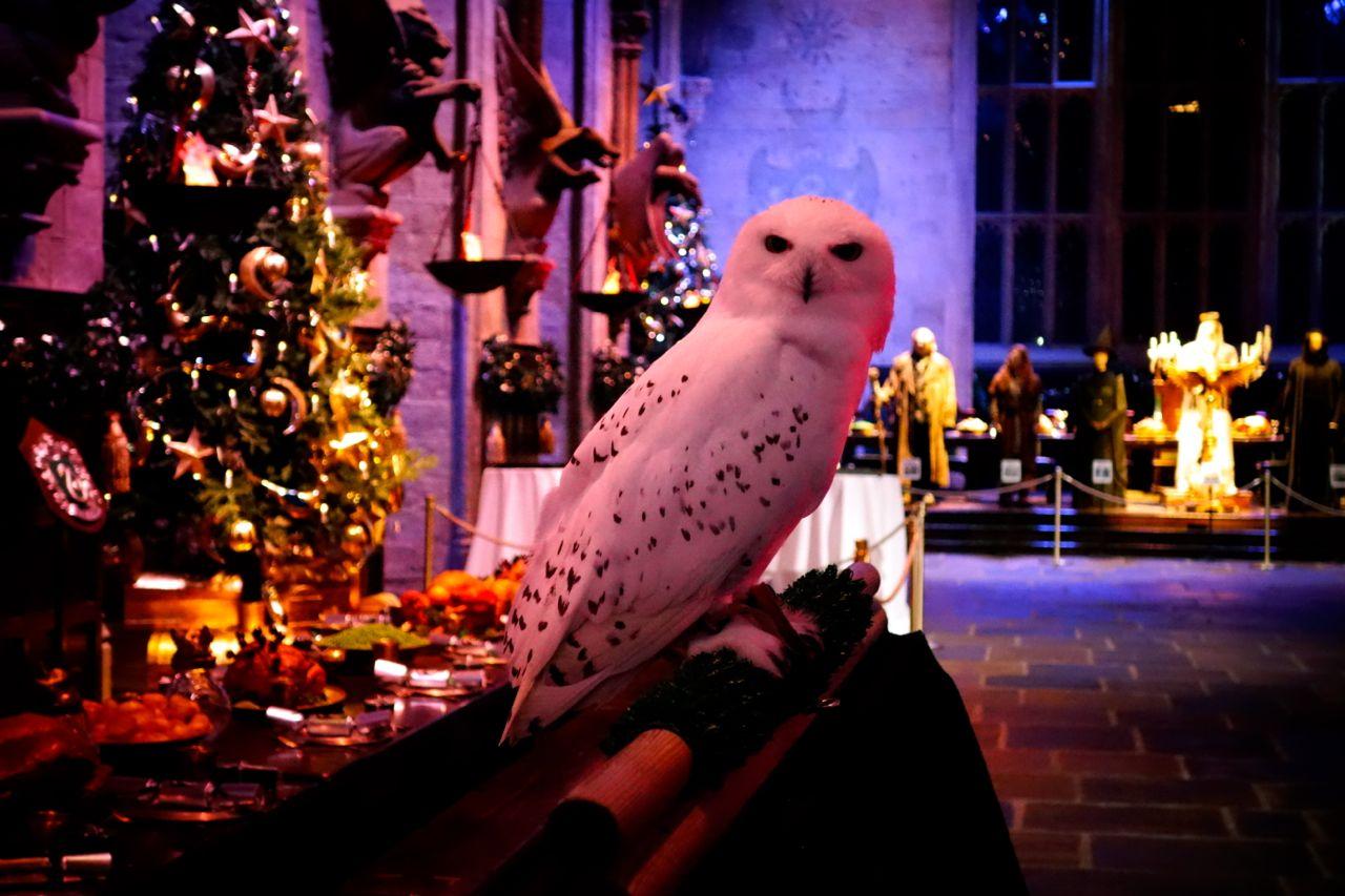 Christmas at Hogwarts Harry Potter Wallpapers - Top Free Christmas at