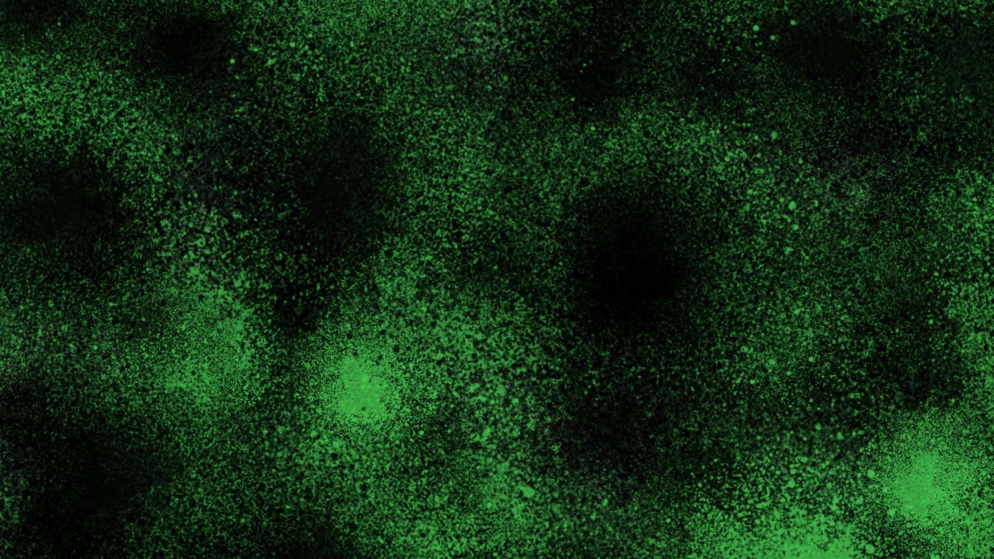 2048x1152 Black and Green Wallpaper