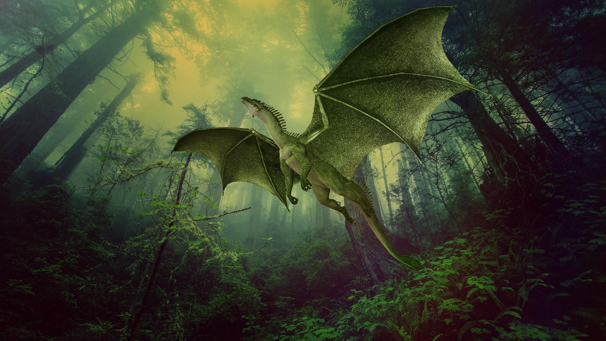 2048x1152 Dragon 2048x1152 Wallpaper
