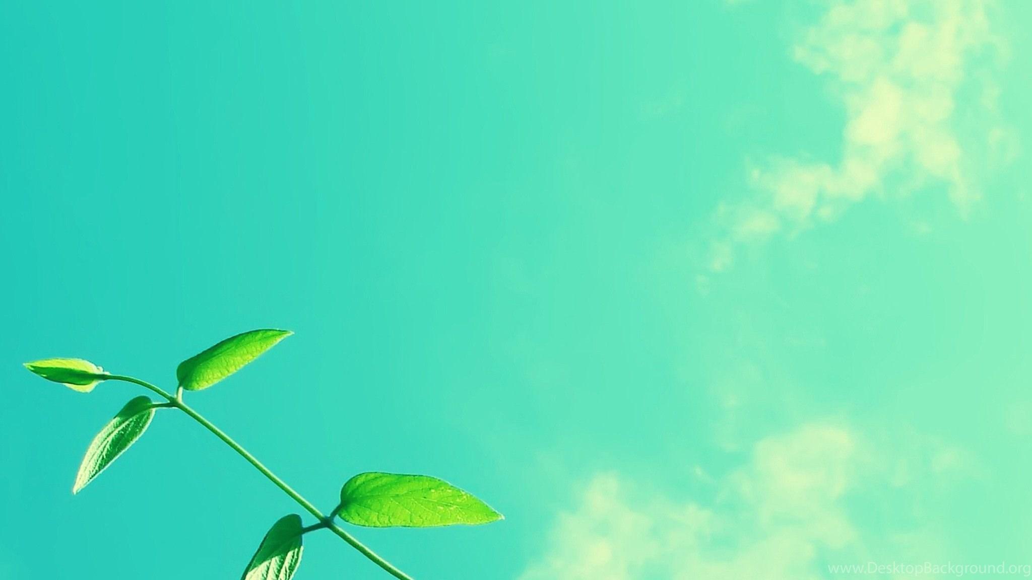 2048x1152 Tumblr Background 2048x1152