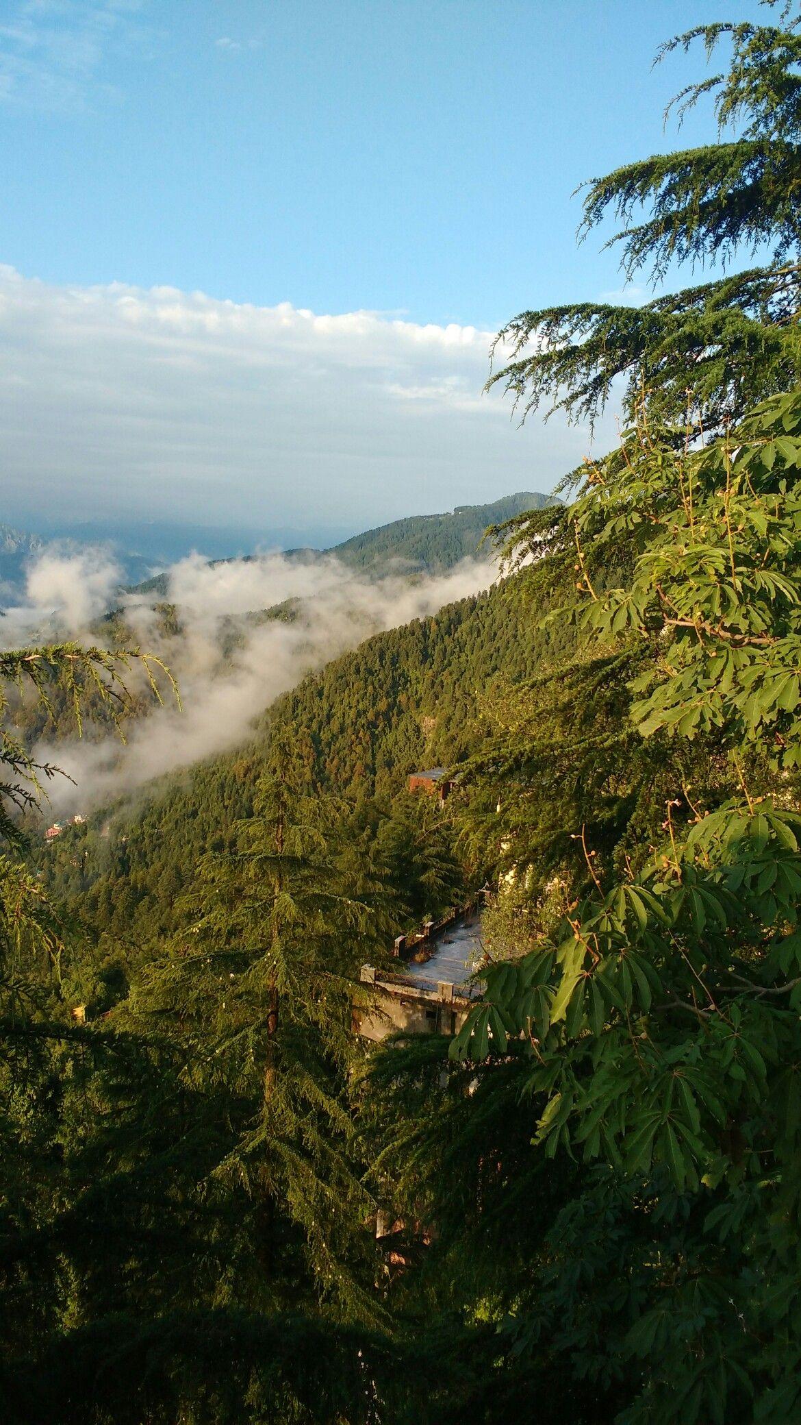 1170x2080 Dalhousie. Himachal Pradesh. Beauty at its best. Nature wallpaper, Natural landmarks, Nature