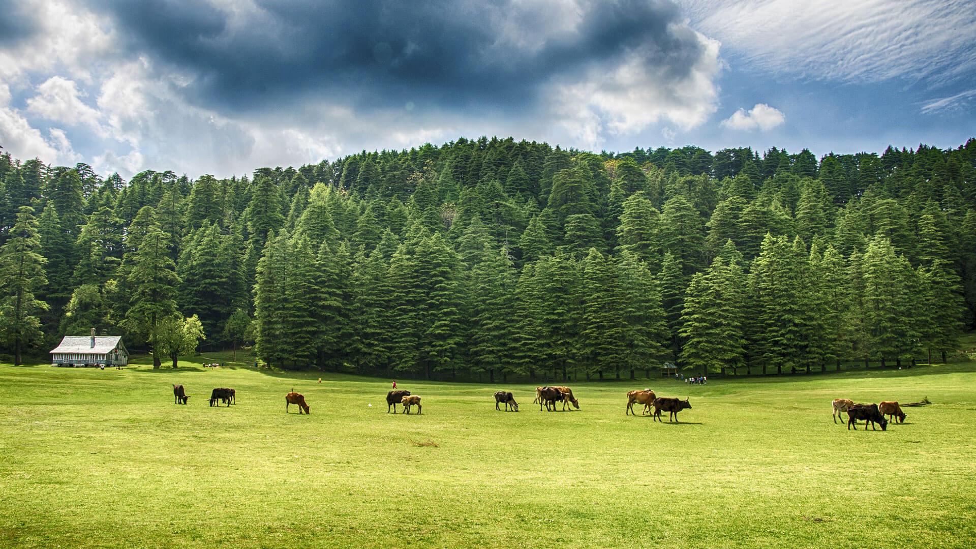 1920x1080 Dalhousie. A Charming Hill Station in Himachal Pradesh