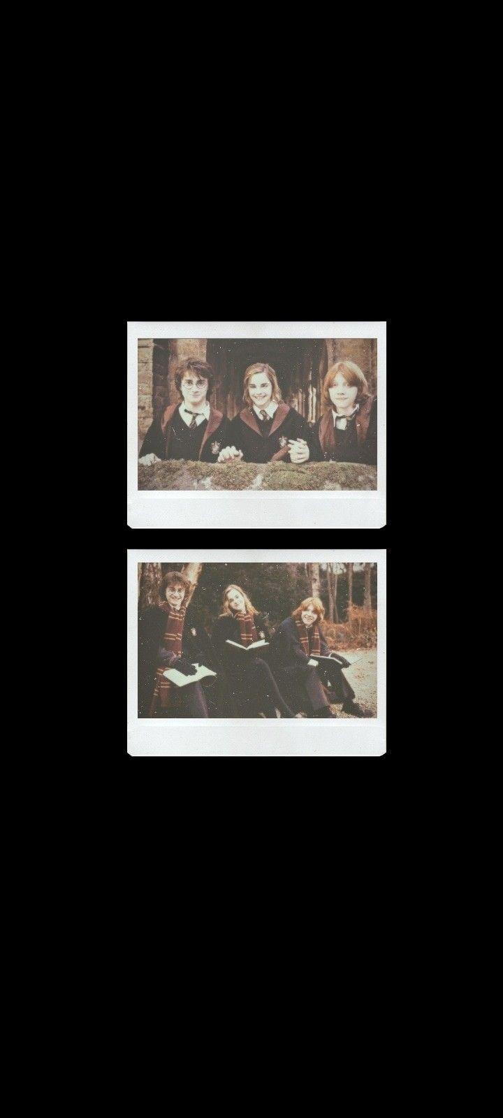 720x1600 Free download golden trio wallpaper Harry potter wallpaper Harry potter [720x1600] for your Desktop, Mobile & Tablet. Explore The Slytherin Trio Wallpaper. Slytherin Background, Slytherin Wallpaper, Alkaline Trio Wallpaper