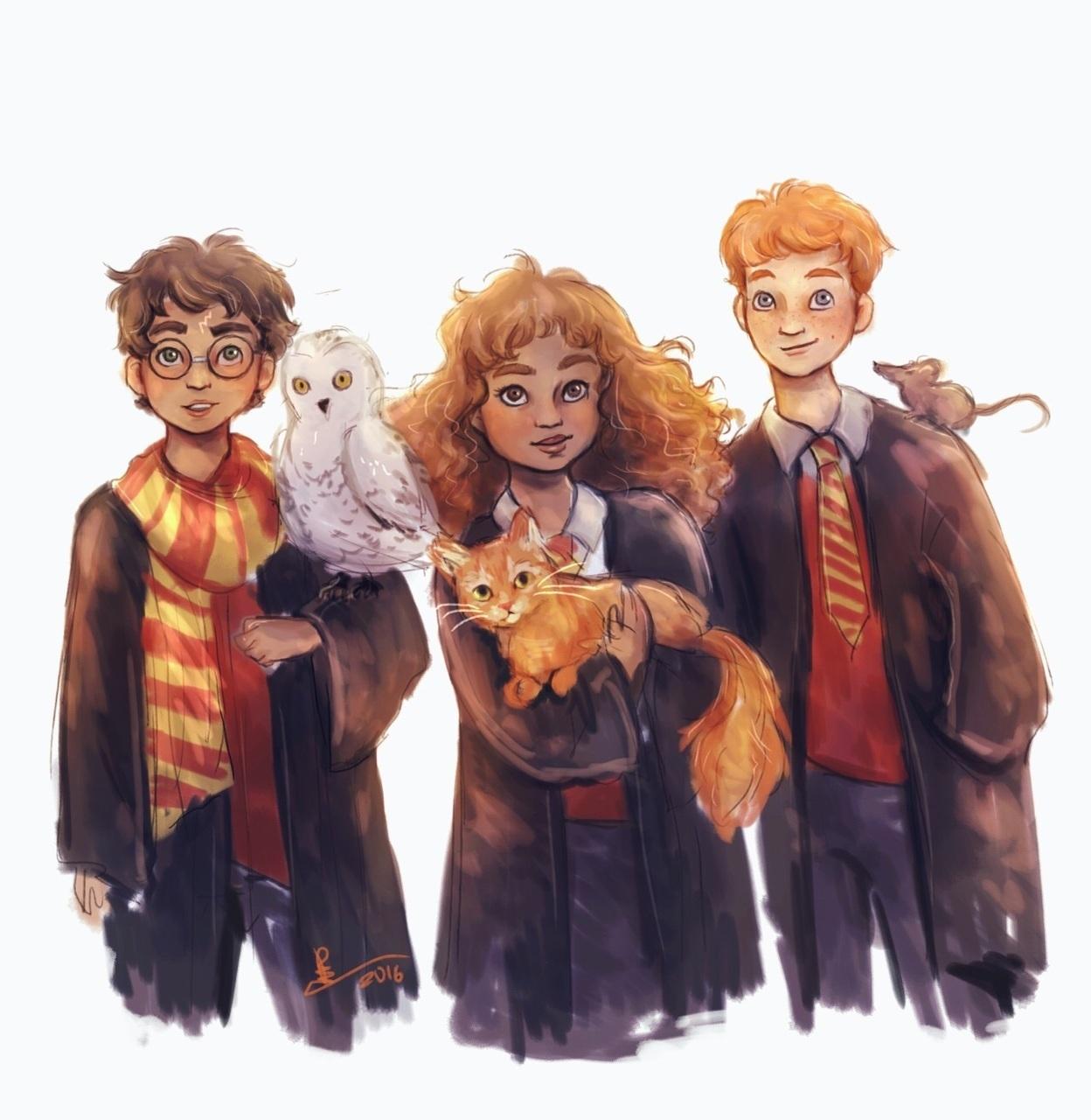 1248x1280 image about Harry Potter. See more about harry potter, hermione granger and hogwarts