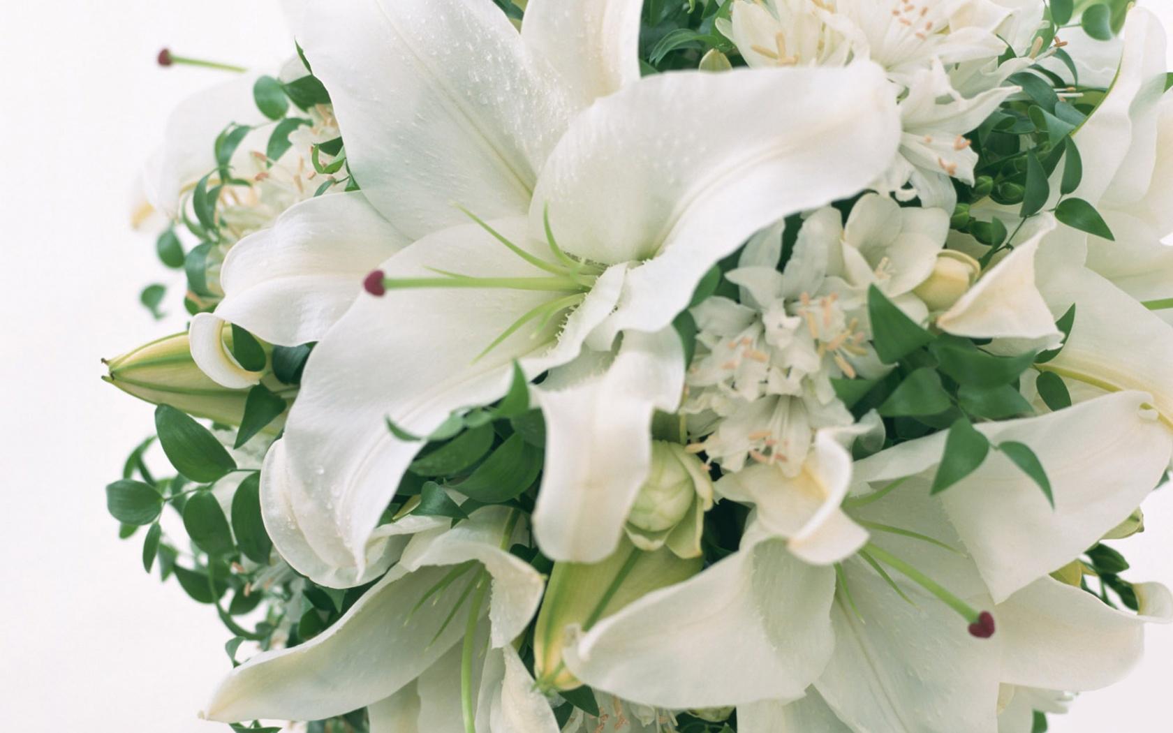 1680x1050 Flower Wallpaper and Background Imagex1050