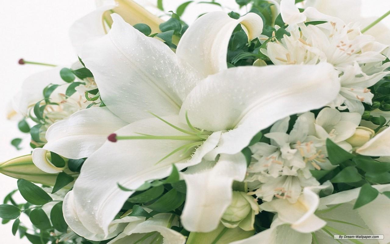 1280x800 Free download Wedding The World Wedding Flowers Background [1280x800] for your Desktop, Mobile & Tablet. Explore Wedding Flowers Background. Wedding Background Wallpaper Free, Wedding Wallpaper for Desktop