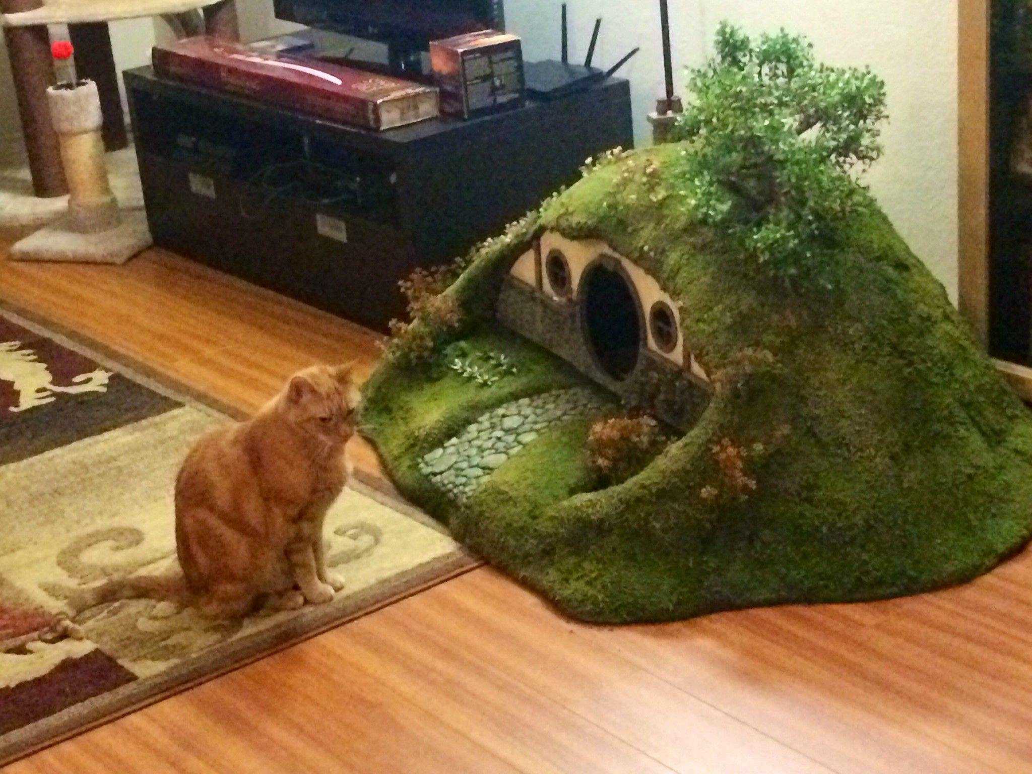 2048x1536 Frodo the cat gets his own Hobbit Hole and Sauron Tower
