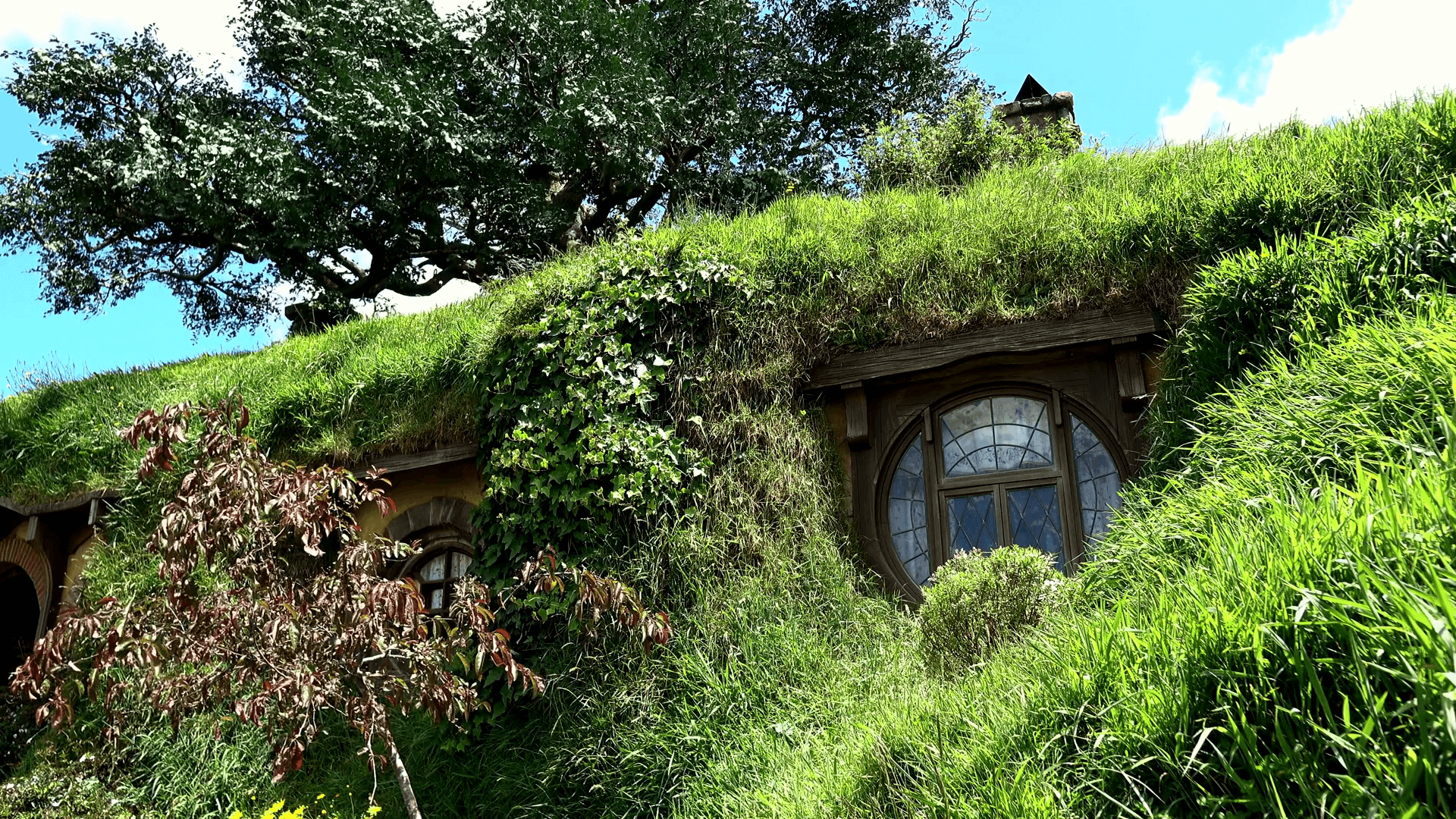 1920x1080 Hobbiton New Zealand HD Wallpaper Gadget and PC Wallpaper