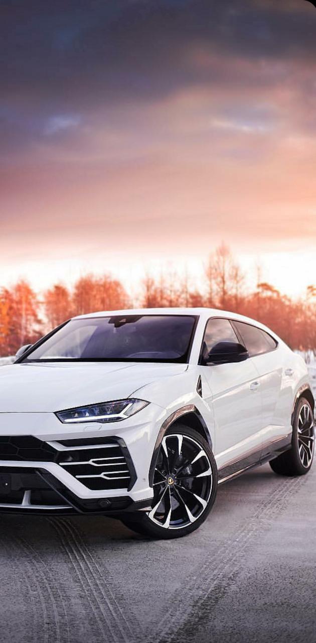 630x1280 Lamborghini Urus wallpaper