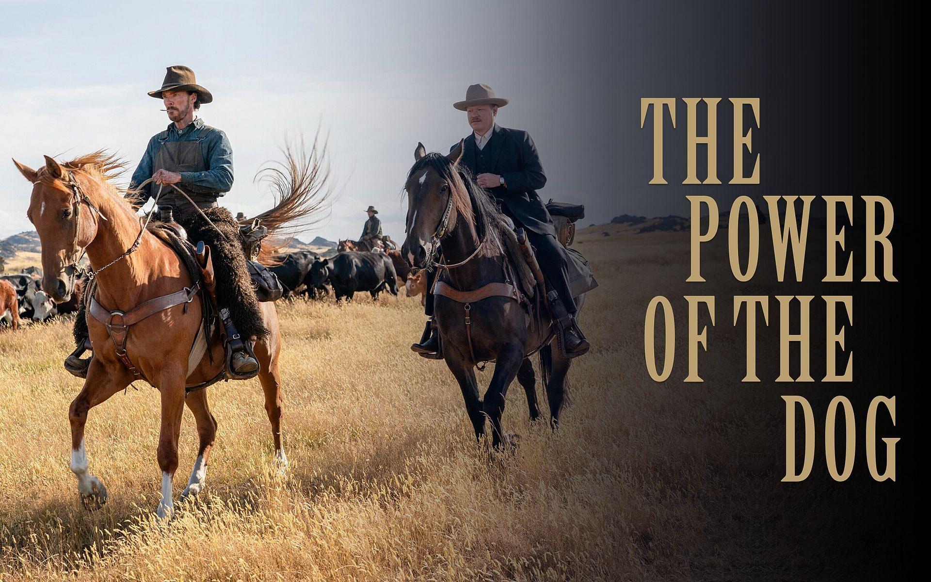 1920x1200 The Power Of The Dog': 3 Reasons Why The Benedict Cumberbatch Starrer Cannot Be Missed