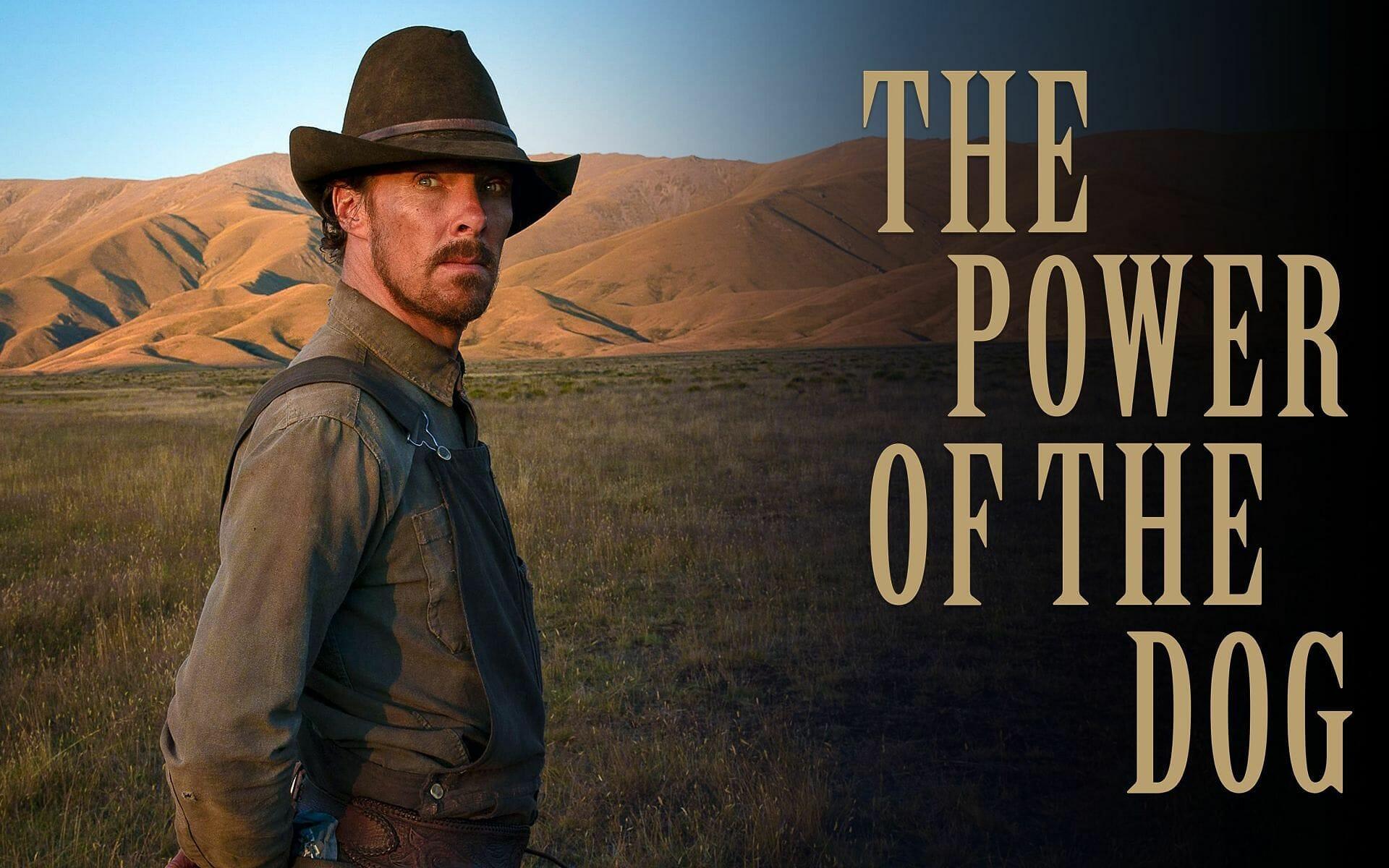 1920x1200 The Power of the Dog: Should You Stream It Or Skip It?