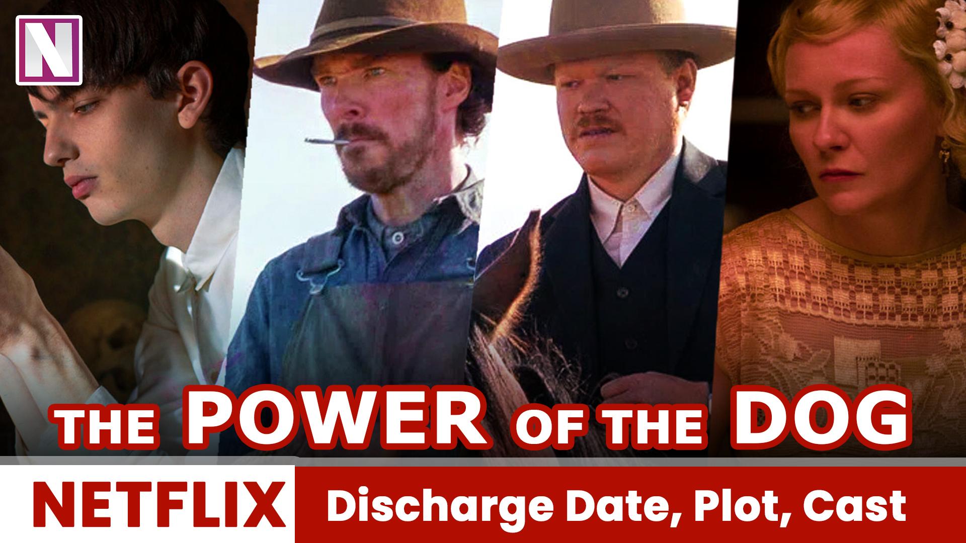 1920x1080 The Power of the Dog: Benedict Cumberbatch's arrival on Netflix