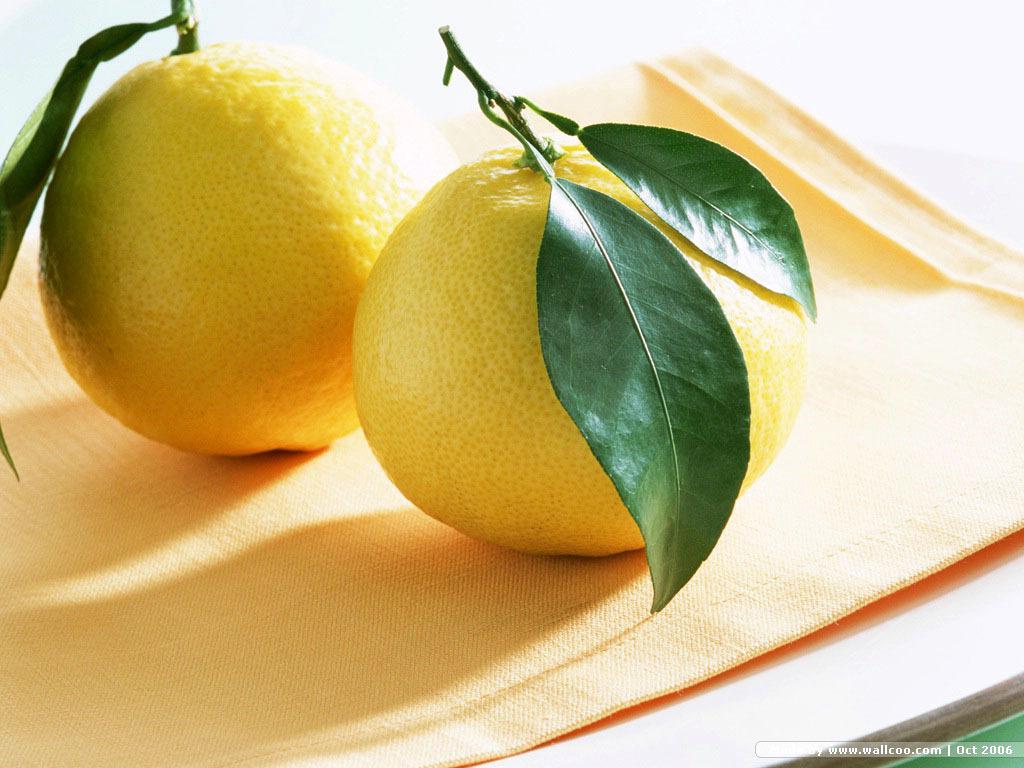 1024x768 Lemon Fruit