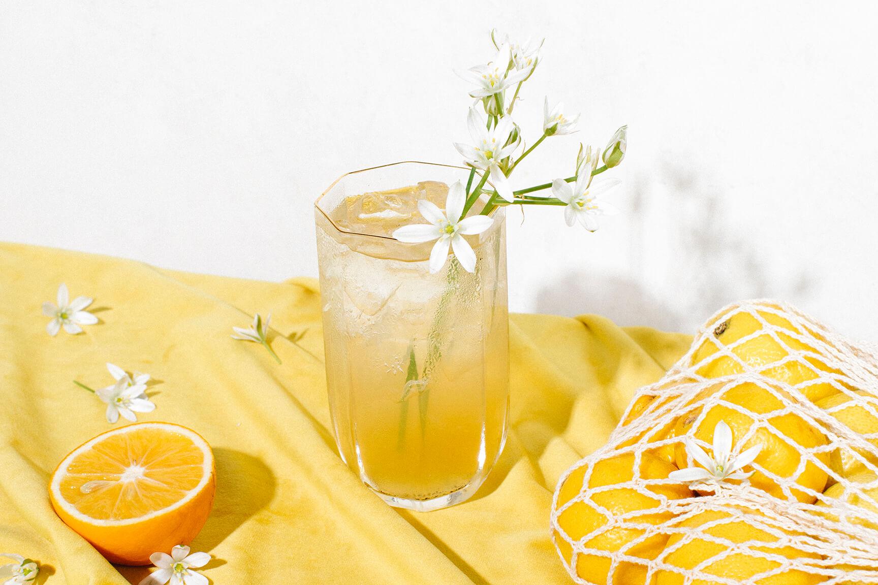 1728x1152 Vanilla + Meyer Lemon Gin and Tonic