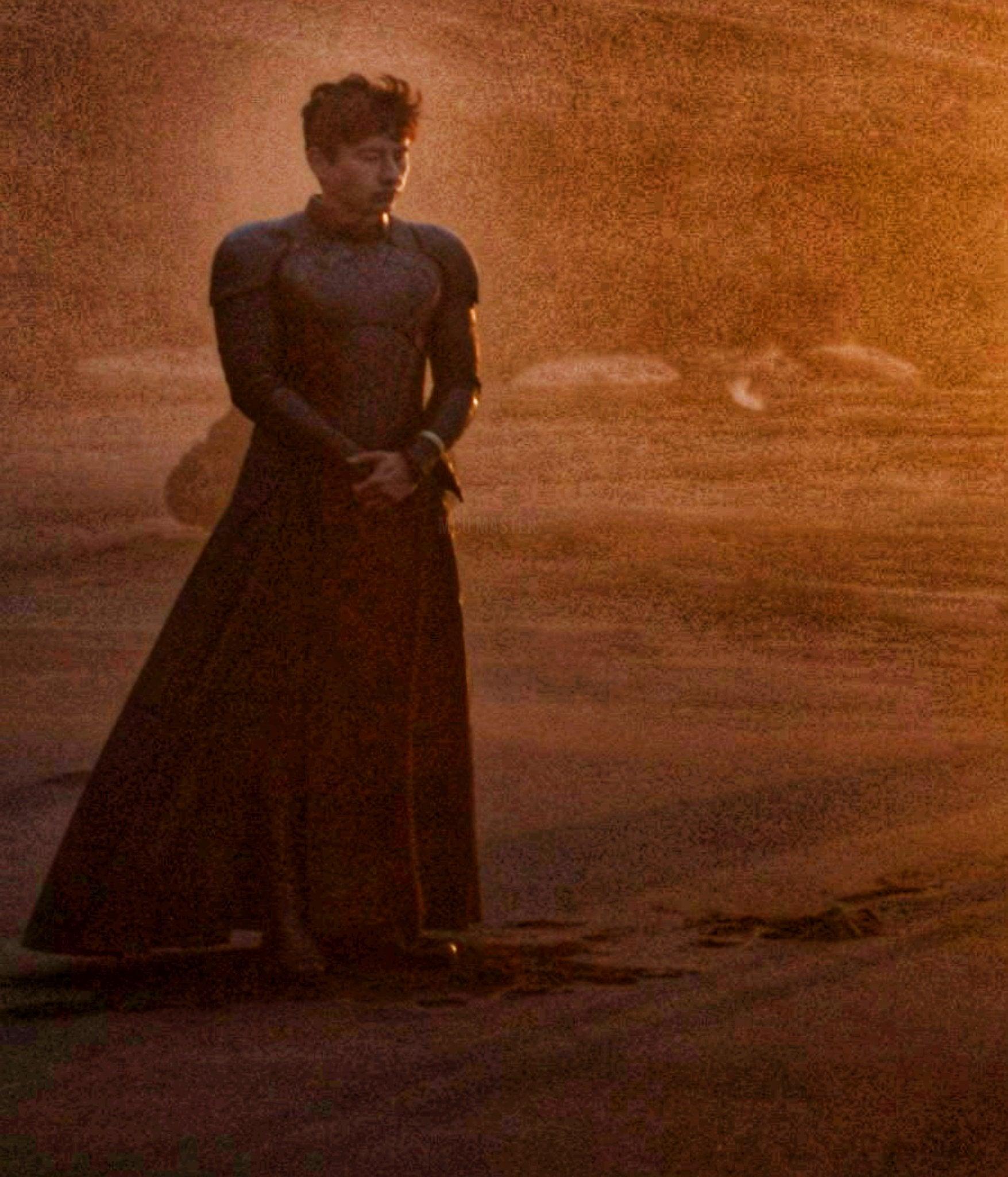 1755x2048 Barry Keoghan as Druig