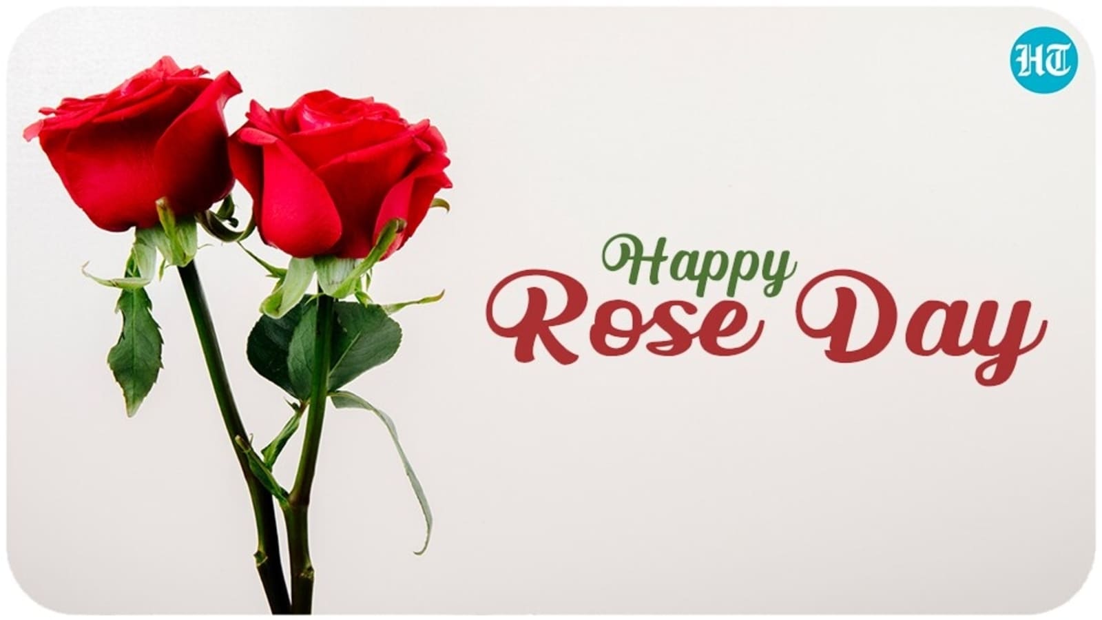 1600x900 Happy Rose Day 2022: Wishes, image and quotes to send to your beloved