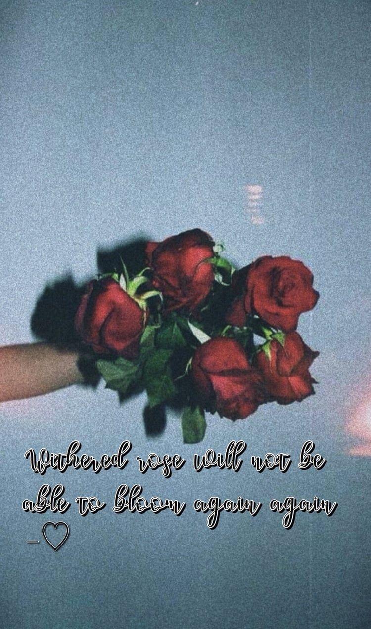 750x1273 Red Rose Aesthetic Wallpaper