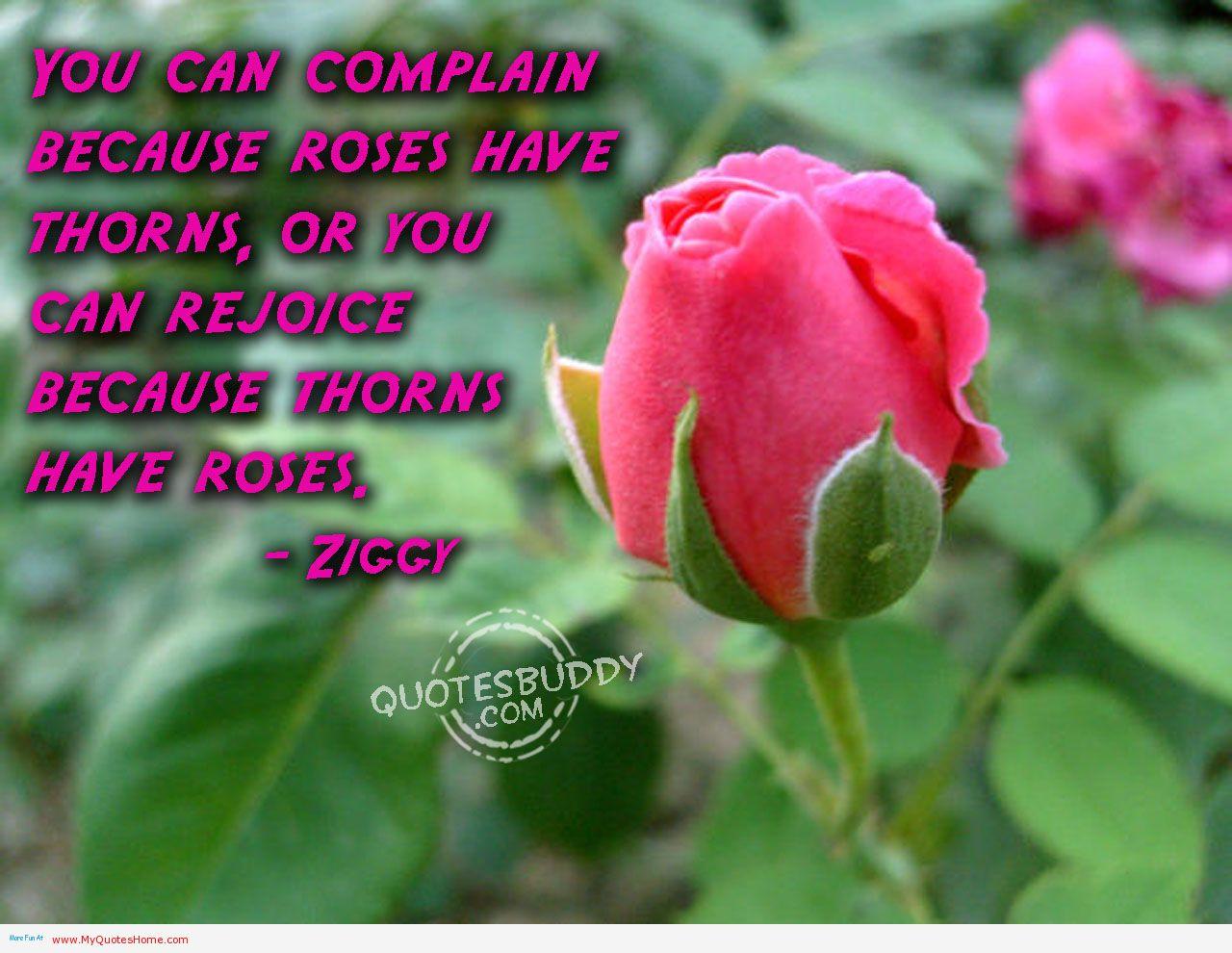 Rose Quotes Wallpapers Top Free Rose Quotes Backgrounds WallpaperAccess