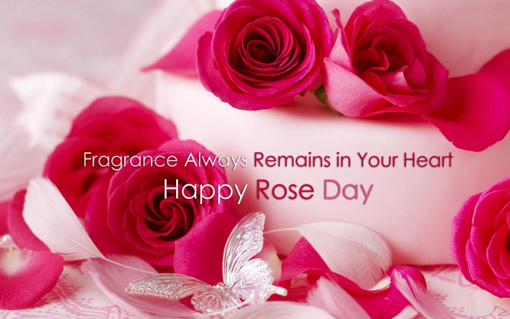Rose Quotes Wallpapers Top Free Rose Quotes Backgrounds WallpaperAccess