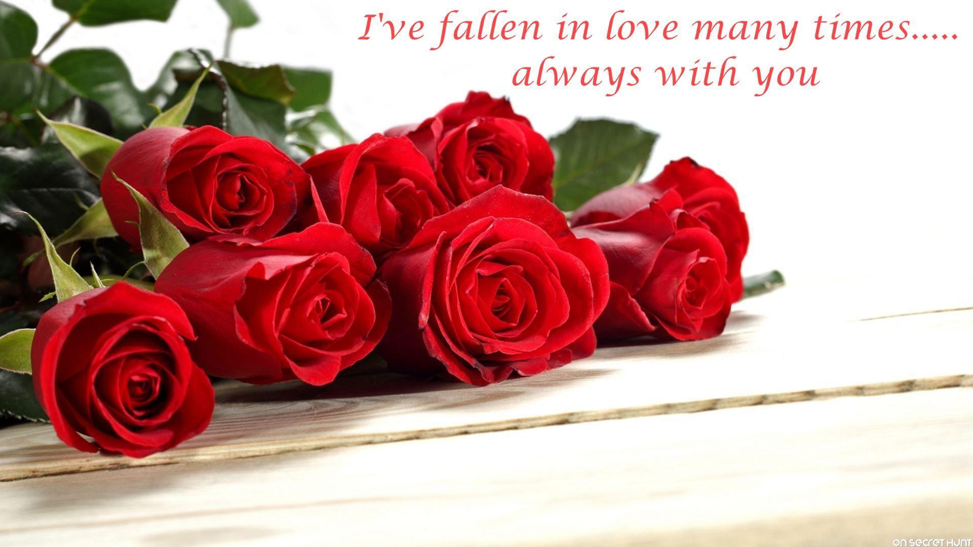 1920x1080 Rose Day Quotes. QuotesGram